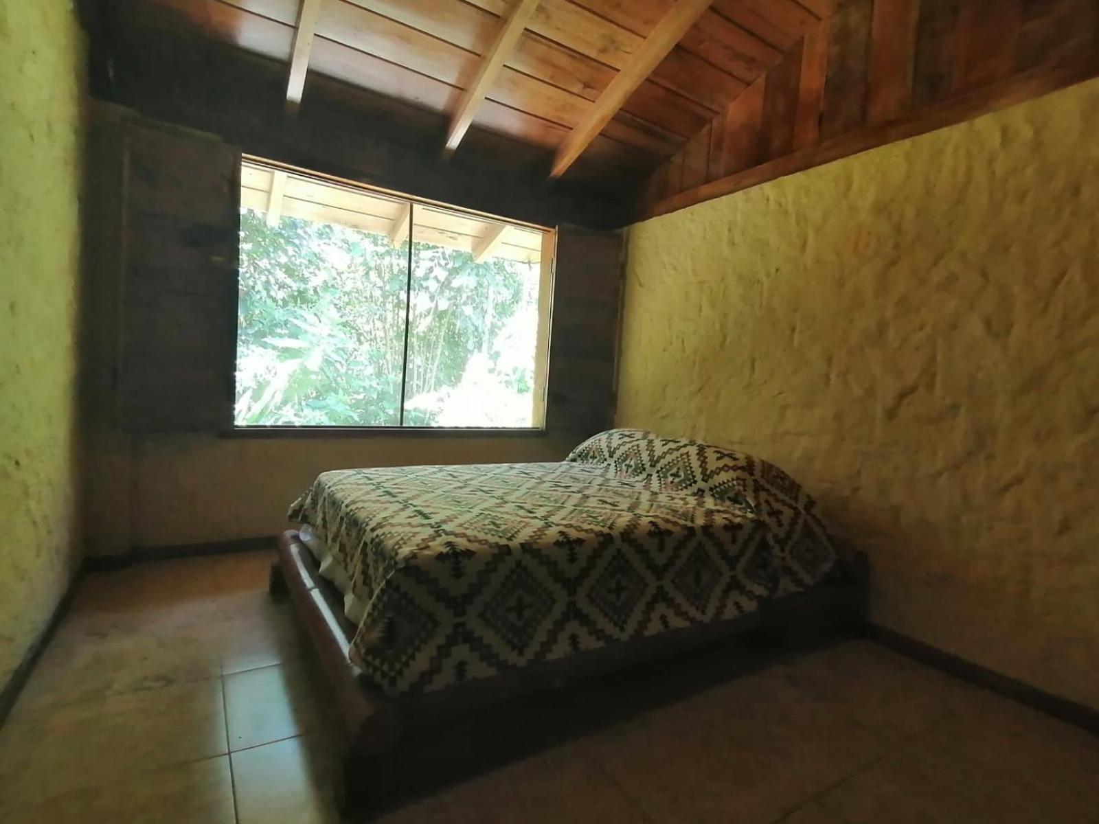 Double Room with Garden View photo 1