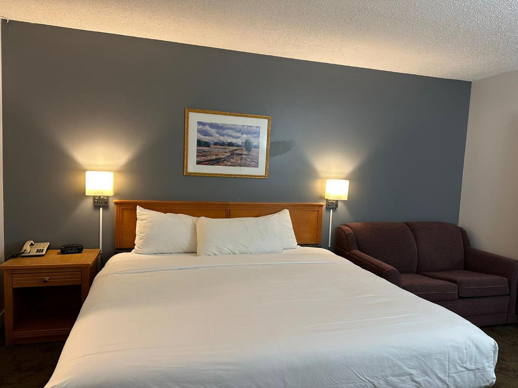 King Room photo 1