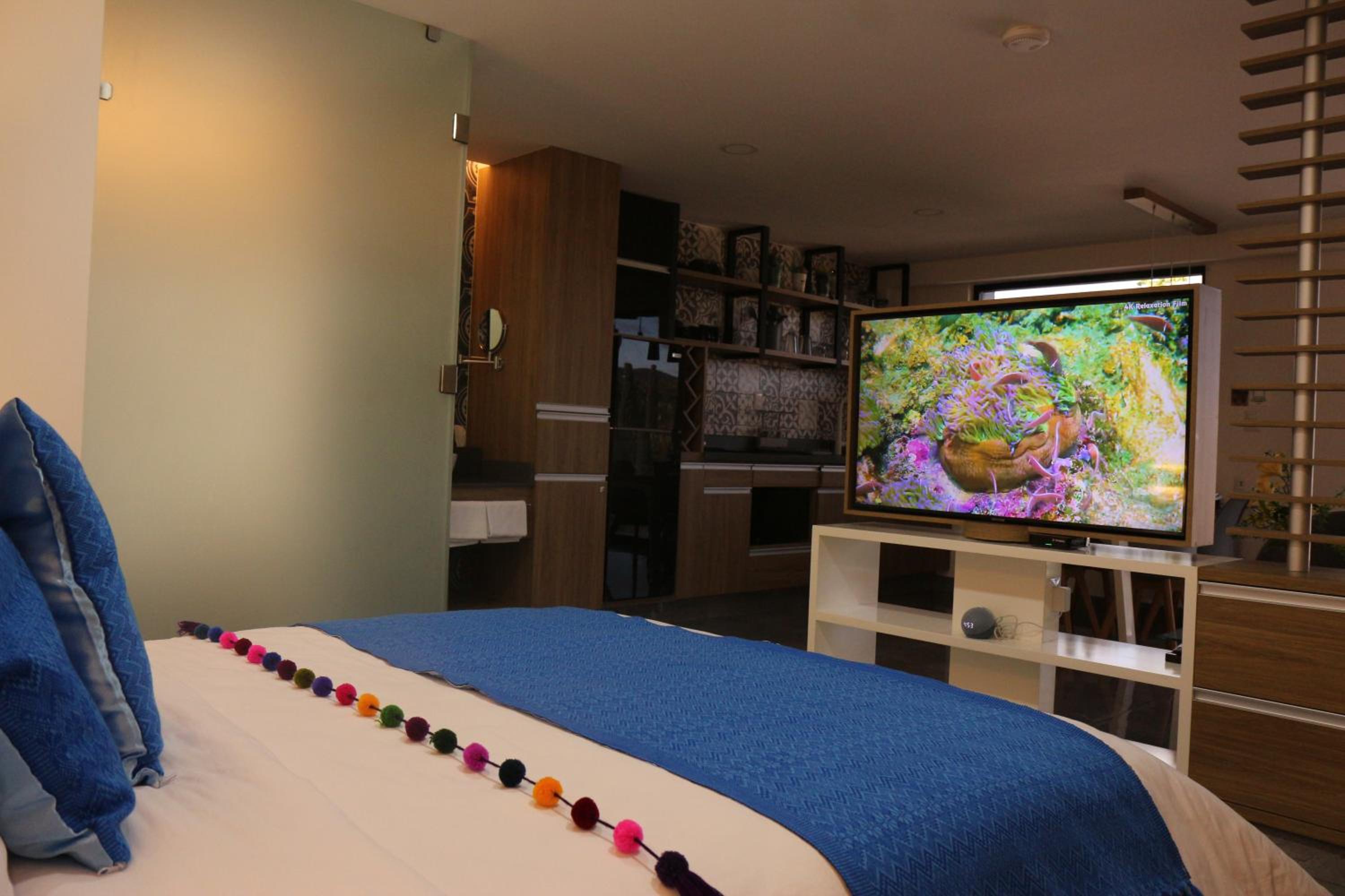 Suite - Photo 1