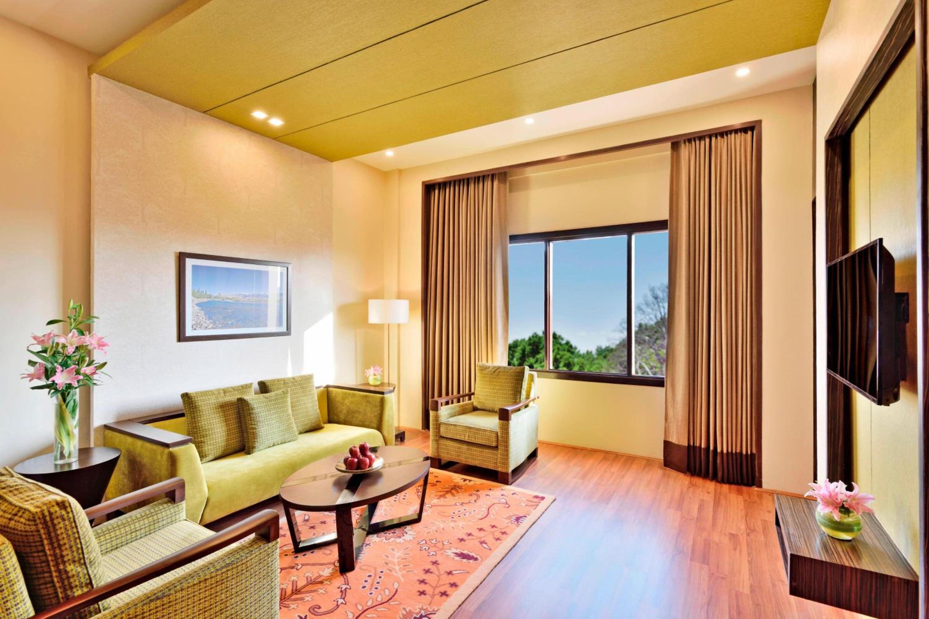 Executive Suite, 1 Bedroom suite photo 3