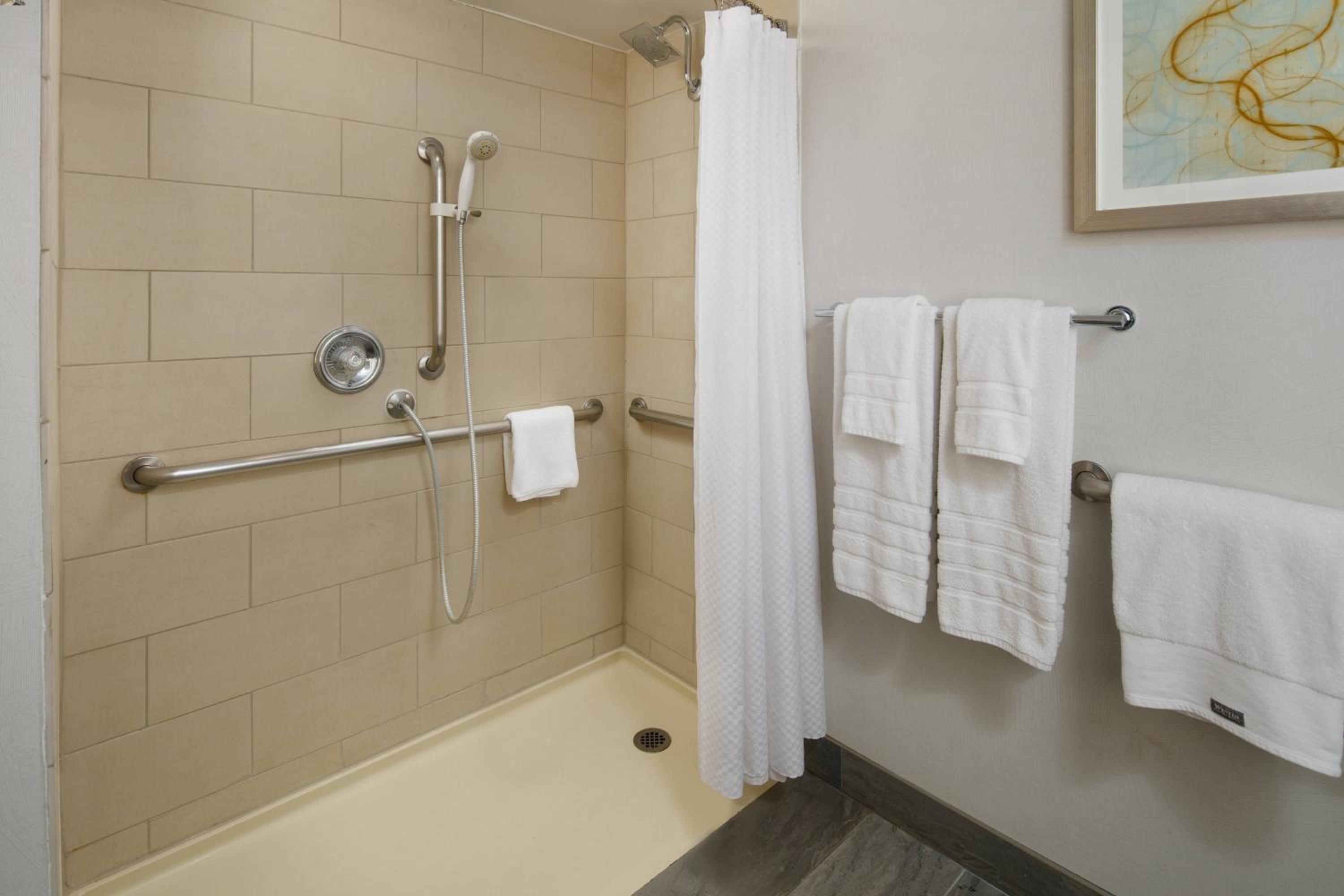 Classic King Room with Roll-in Shower - Mobility Accessible photo 3