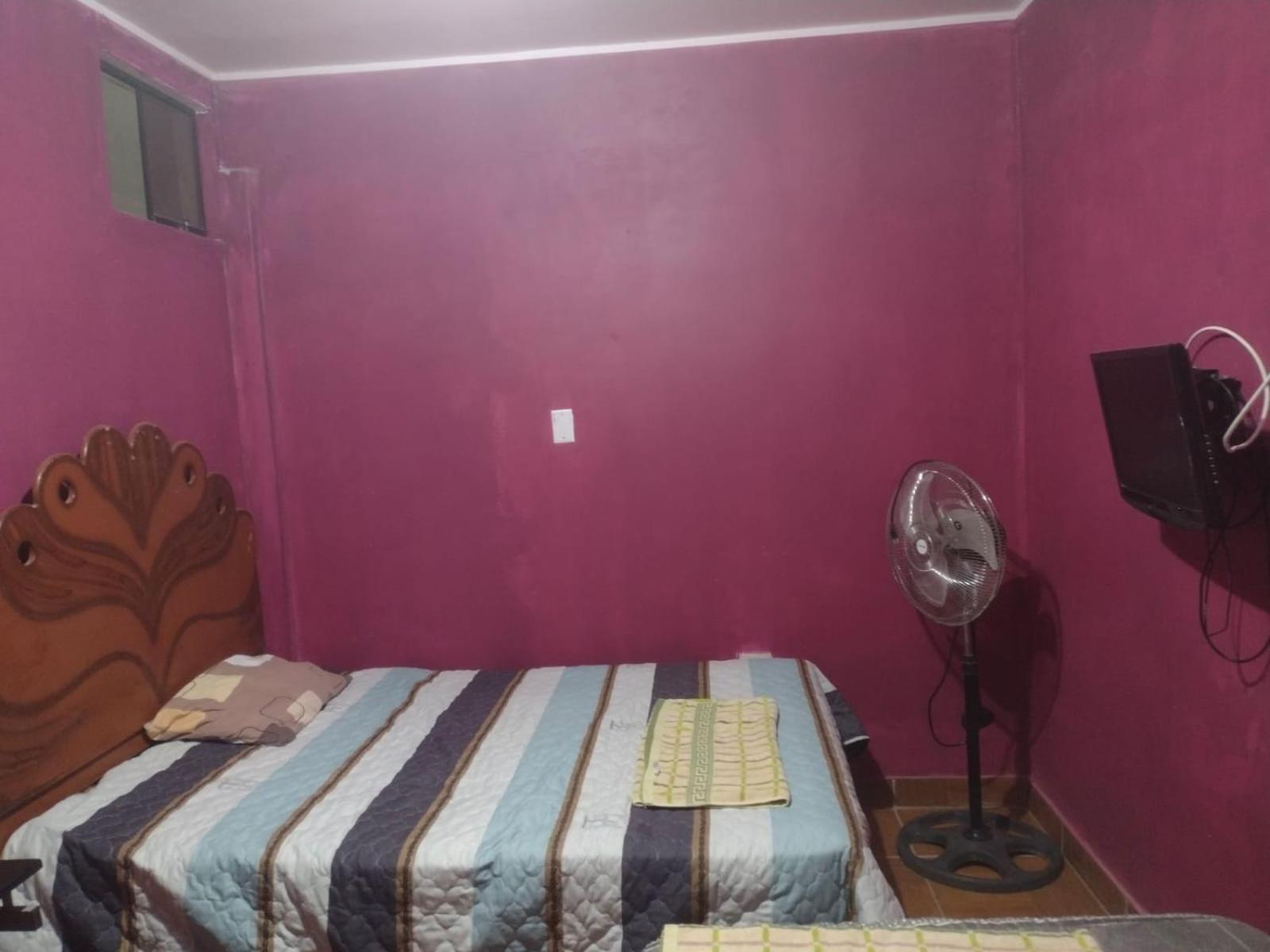 Twin Room photo 1