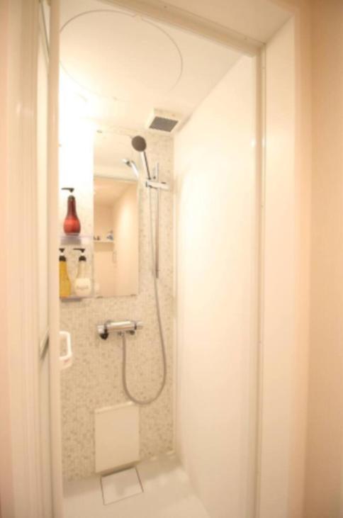 Standard Apartment photo 2