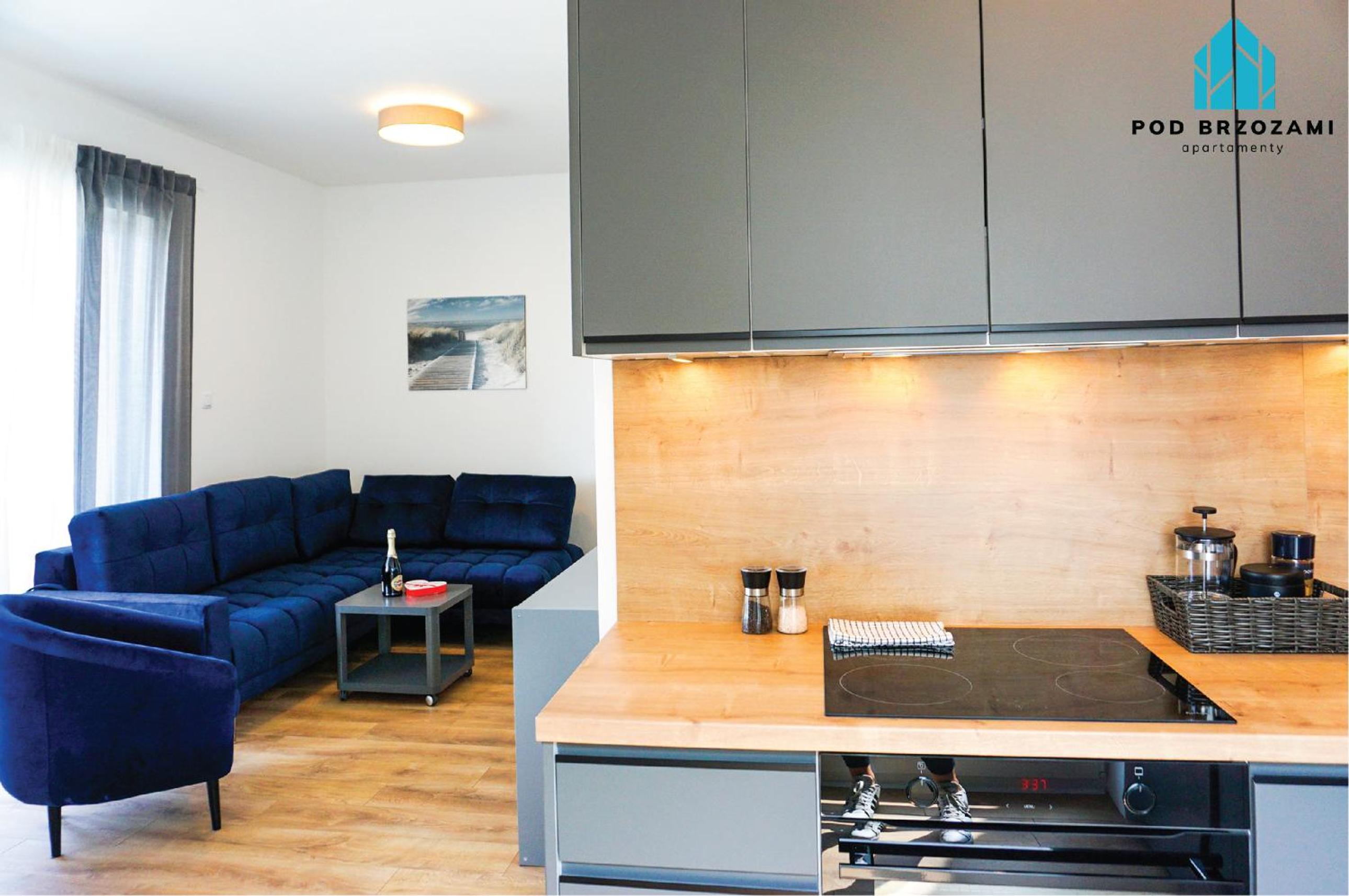 One-Bedroom Apartment photo 3