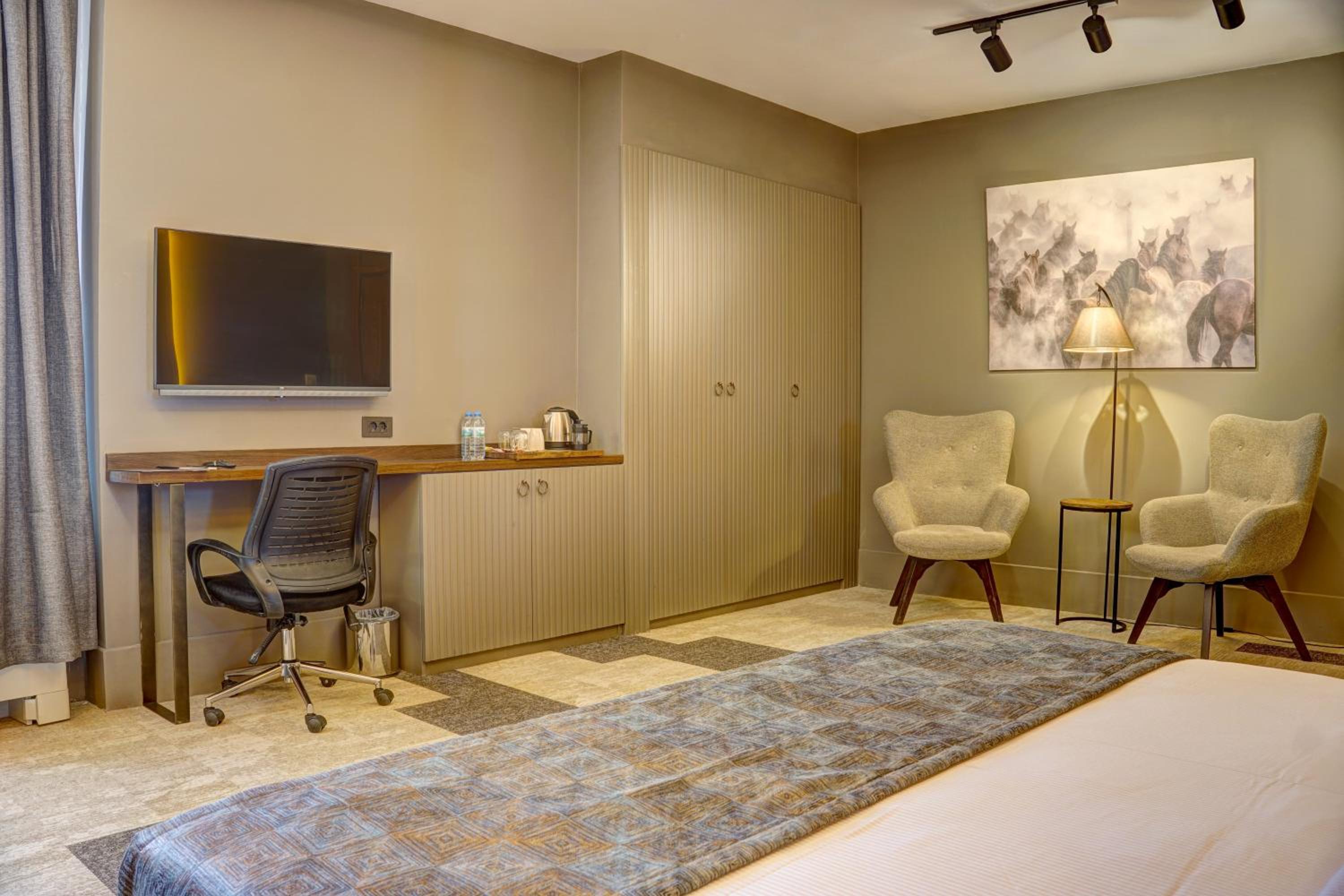 Suite - Photo 1