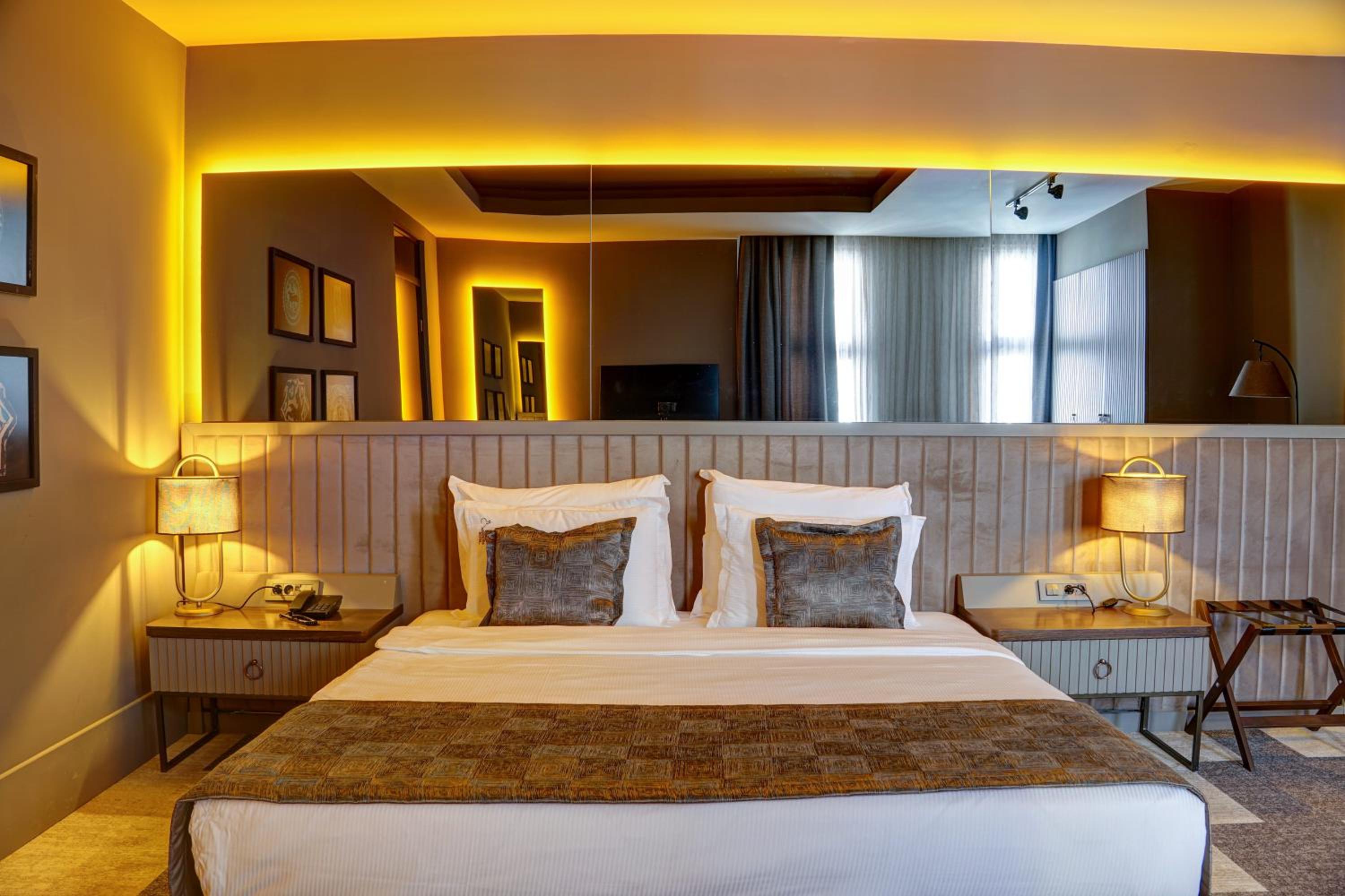 Suite - Photo 3