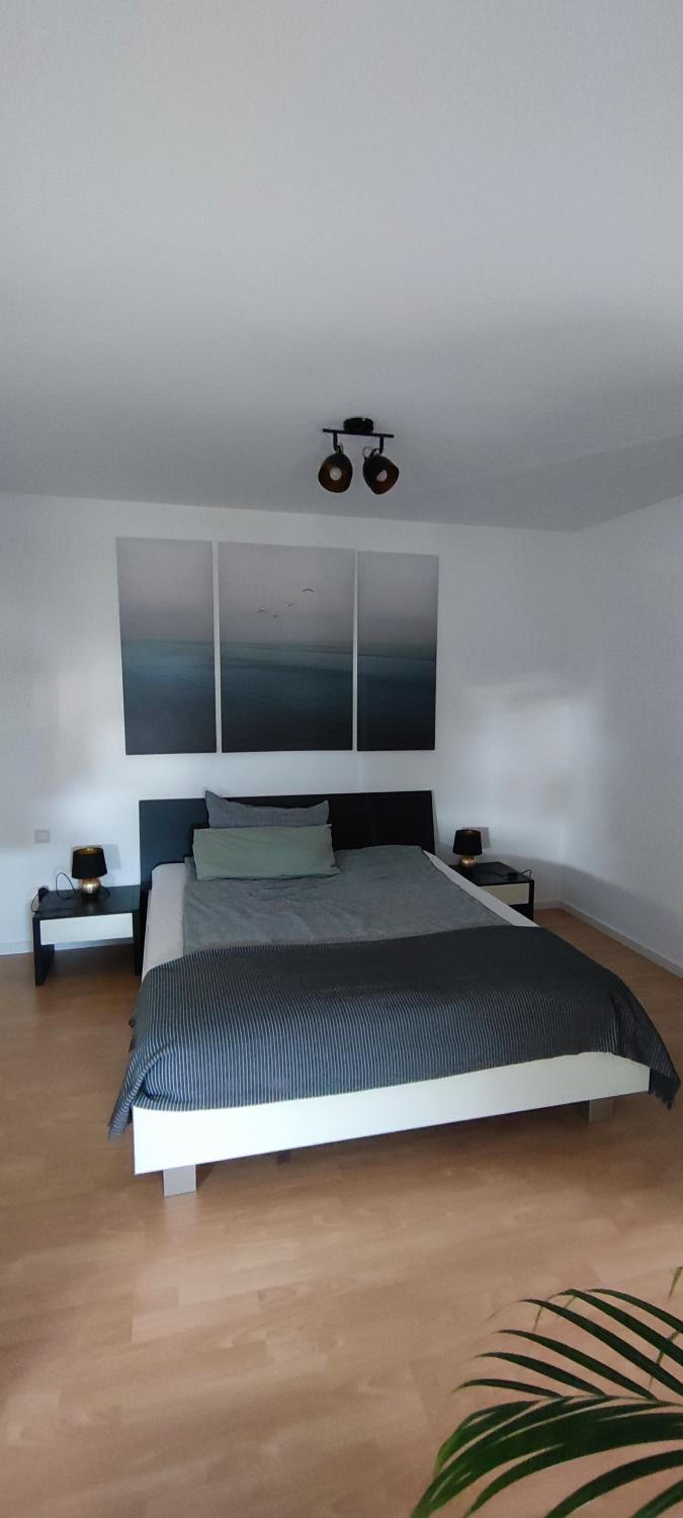 Apartment with Shower photo 2