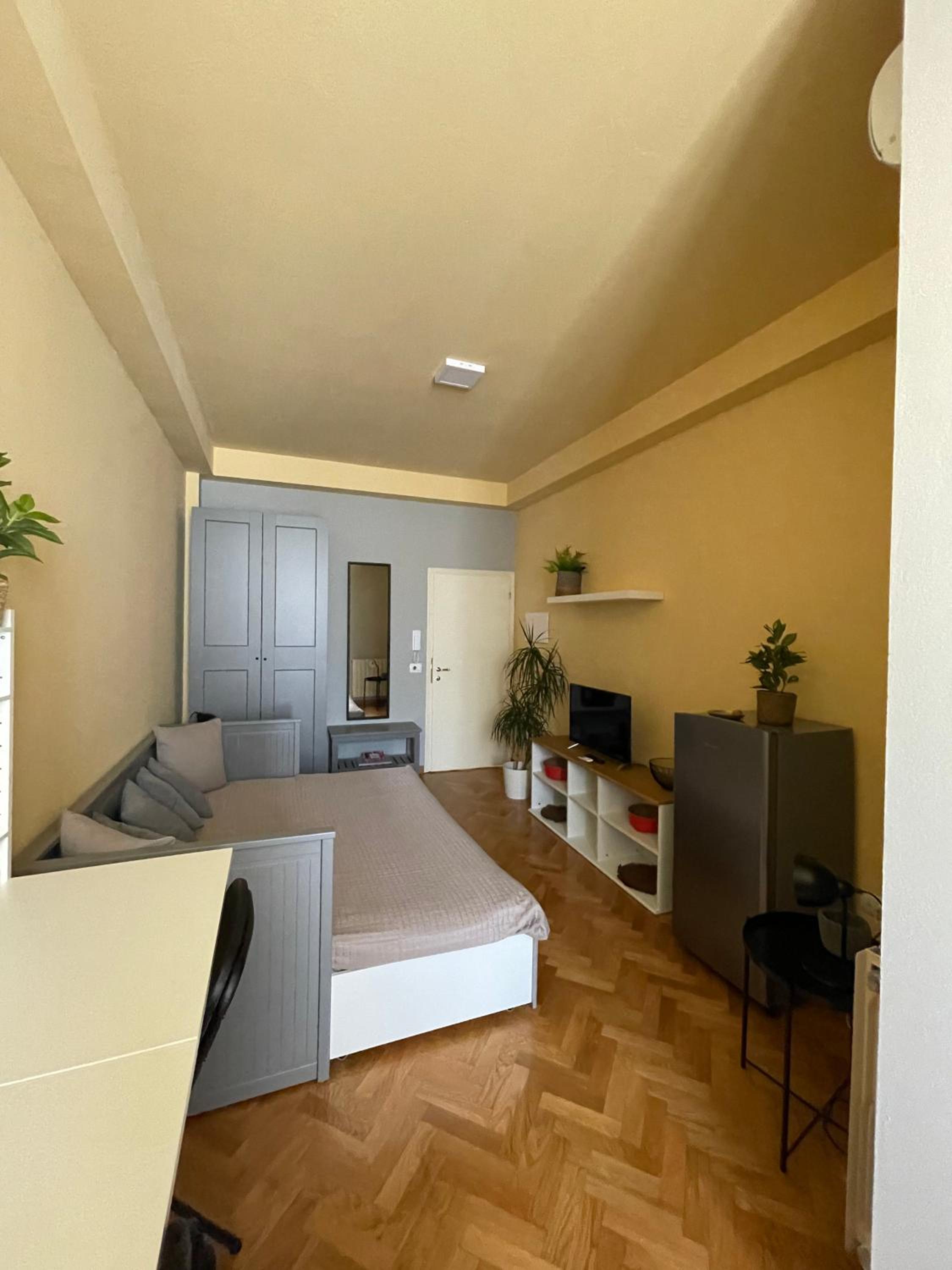 Studio with Terrace