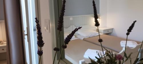 Double Room with Garden View - Photo 16