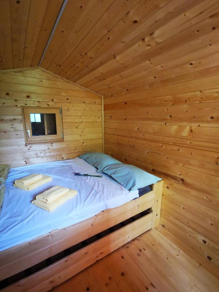 Double or Twin Room photo 1