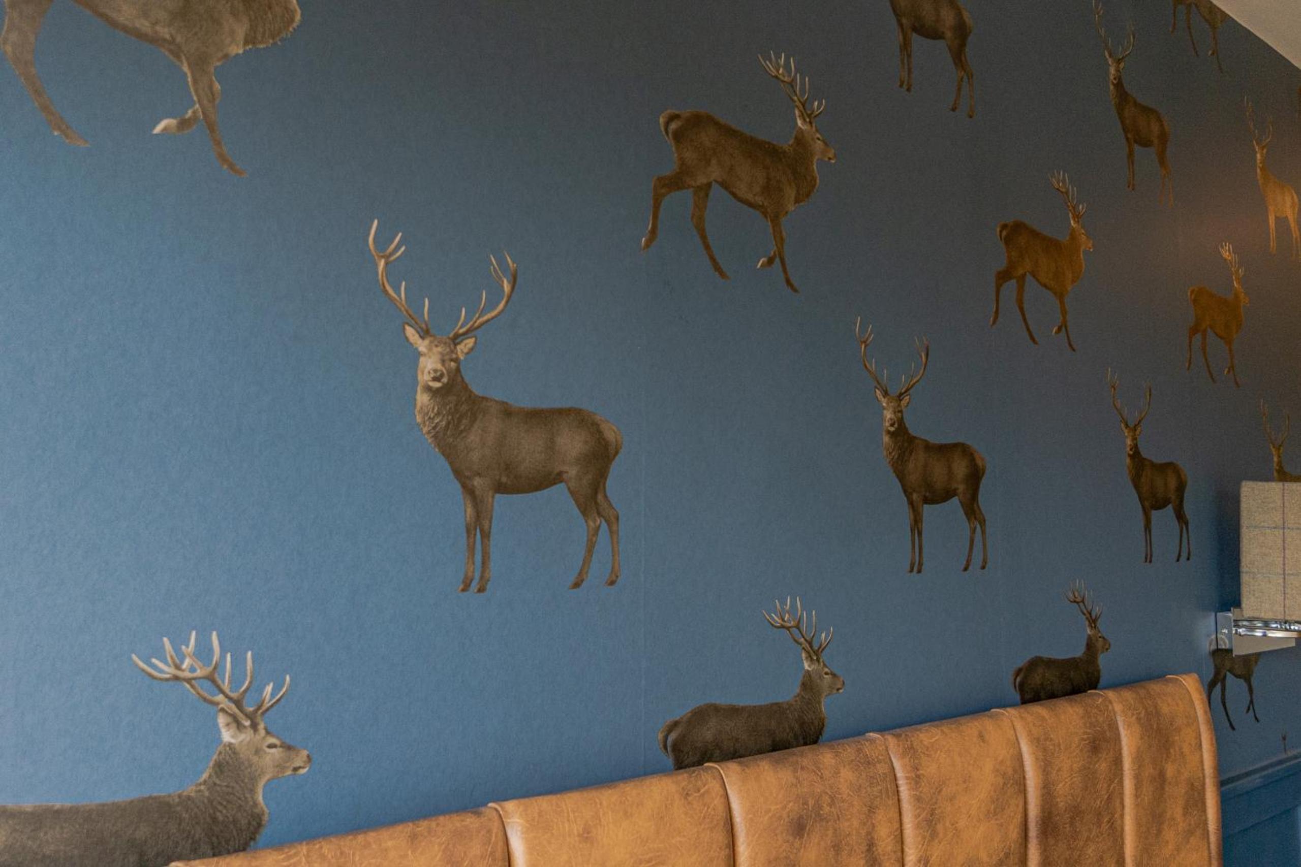 Deluxe King Room photo 3