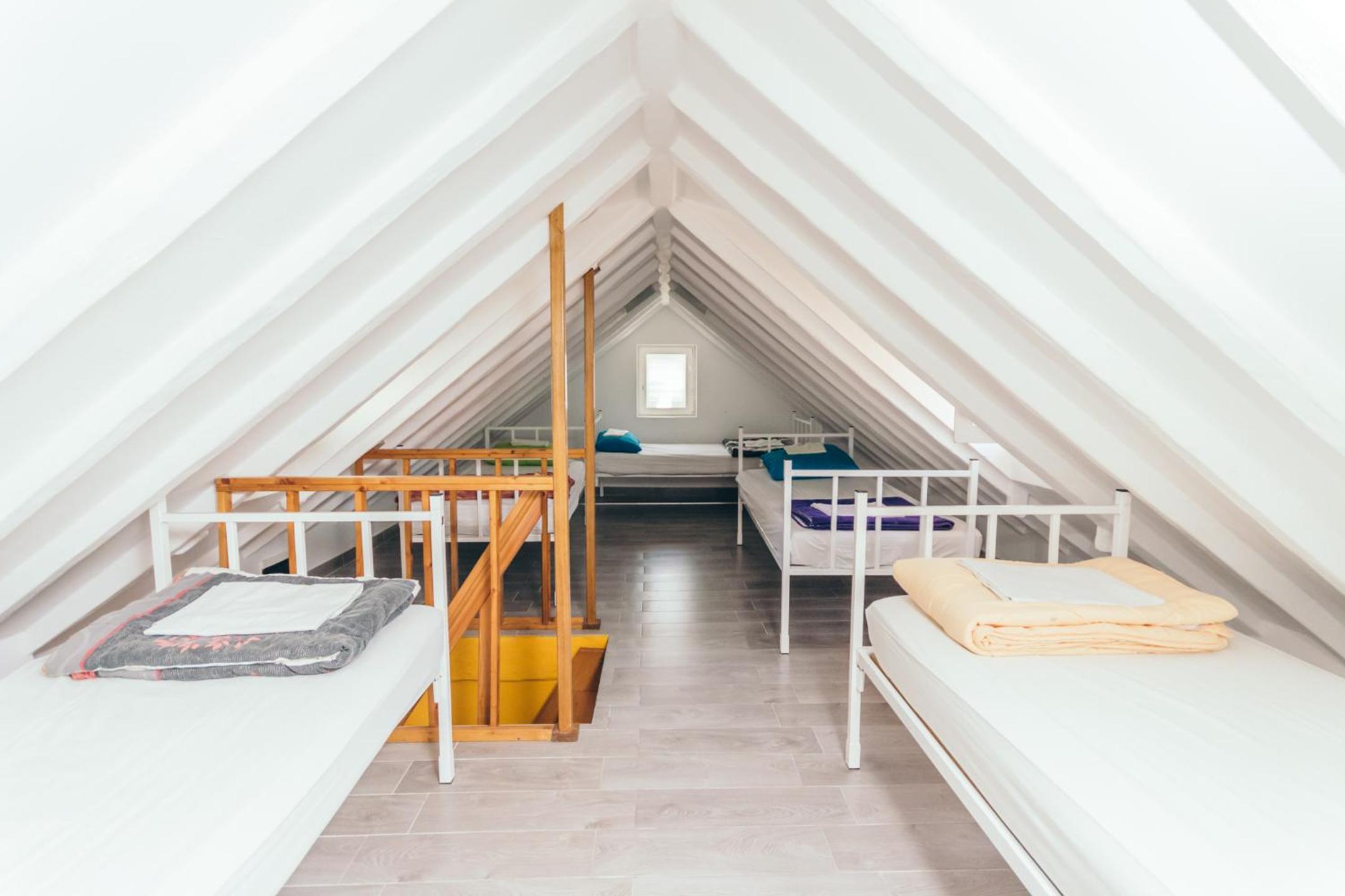 Bunk Bed in Mixed Dormitory Room