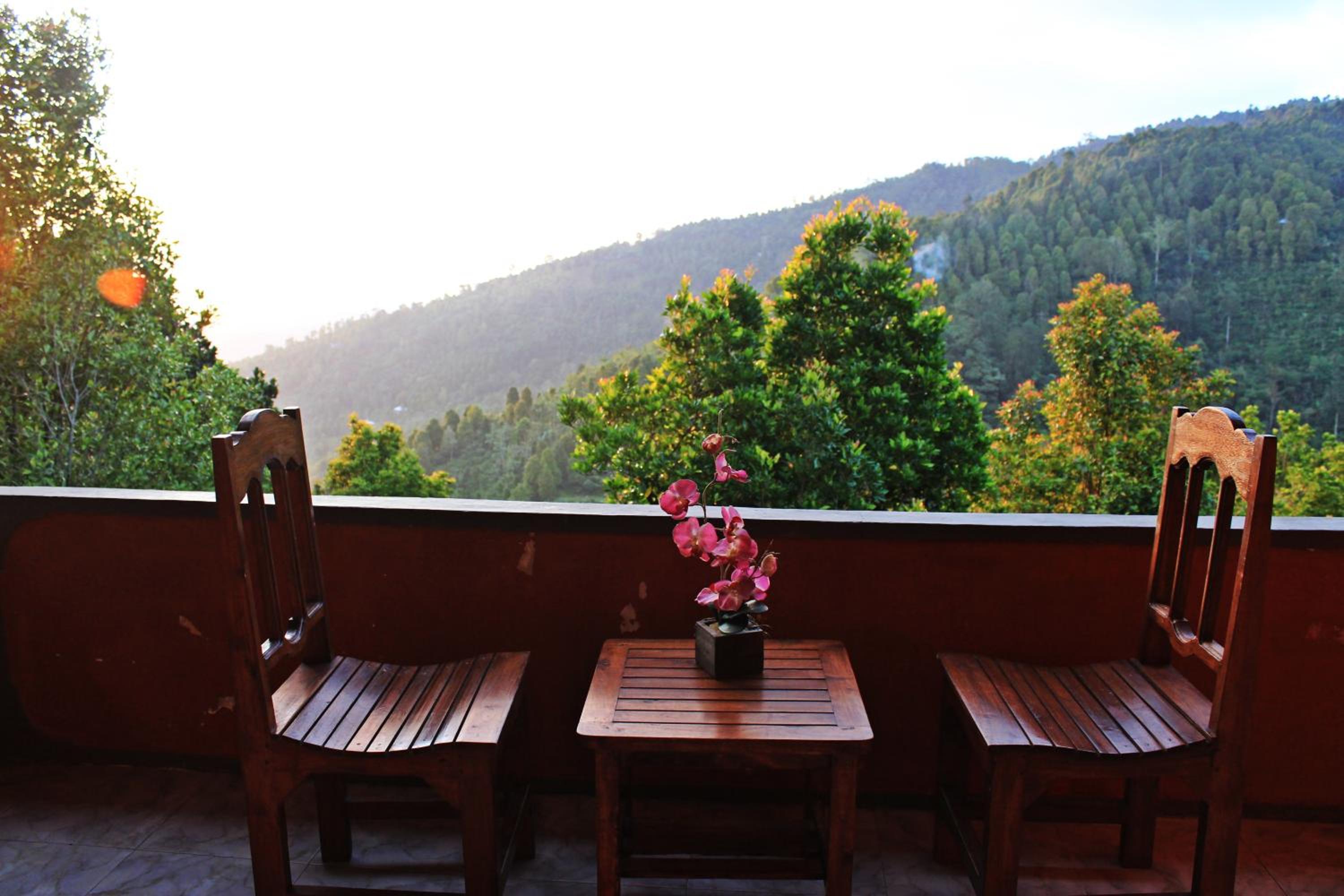 Standard Double Room - Photo 13
