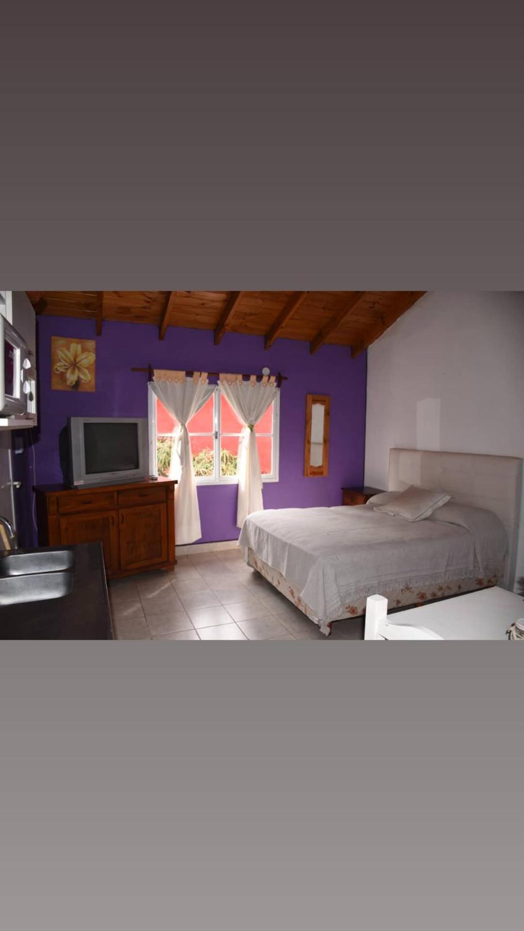 Standard Suite photo 1