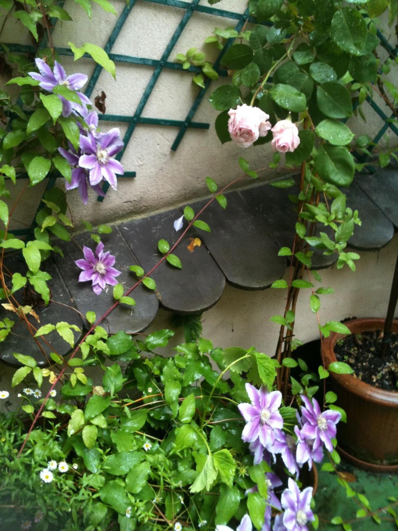 Apartment with Terrace photo 1