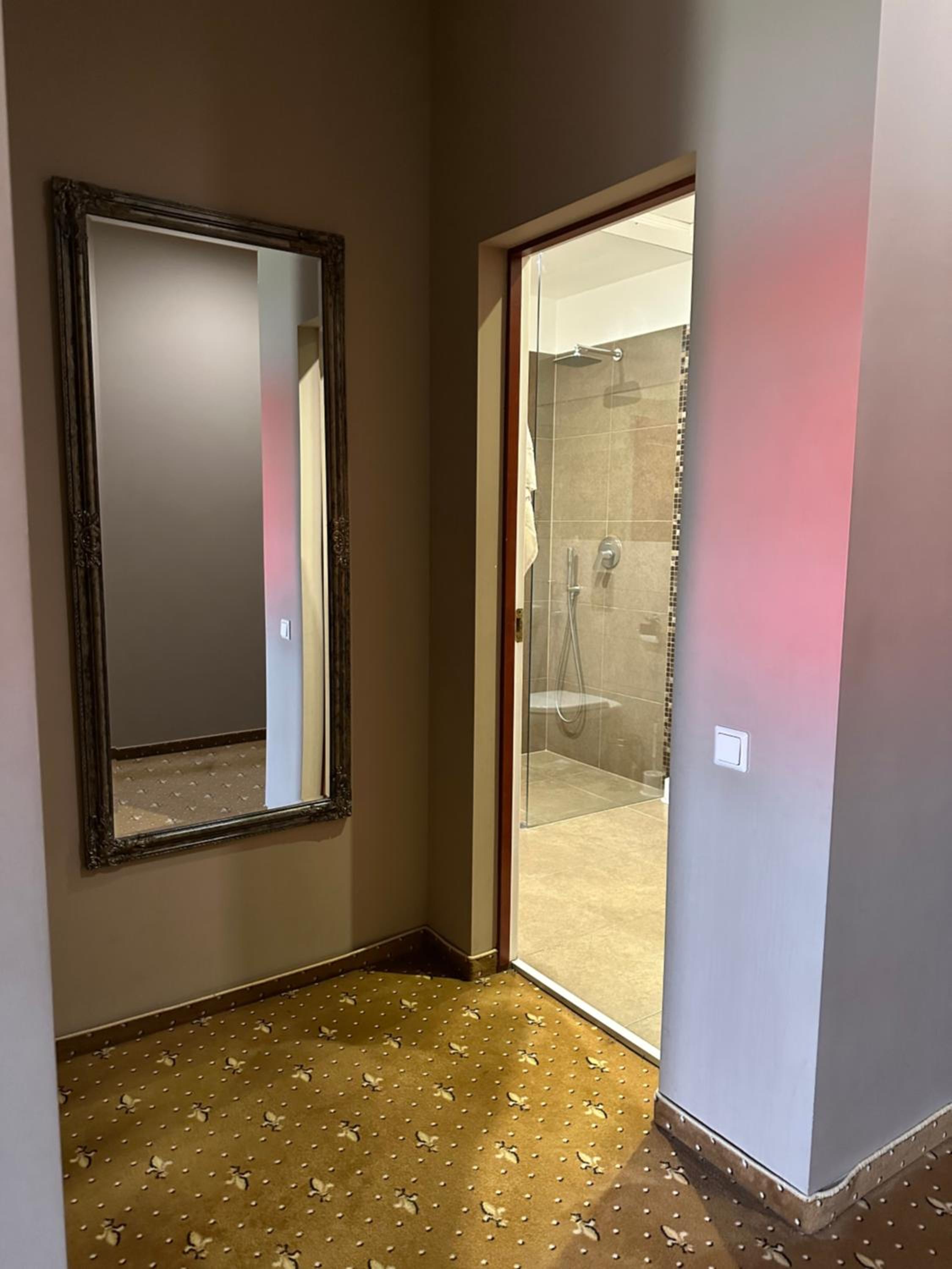 Double or Twin Room with Spa Access - Photo 10
