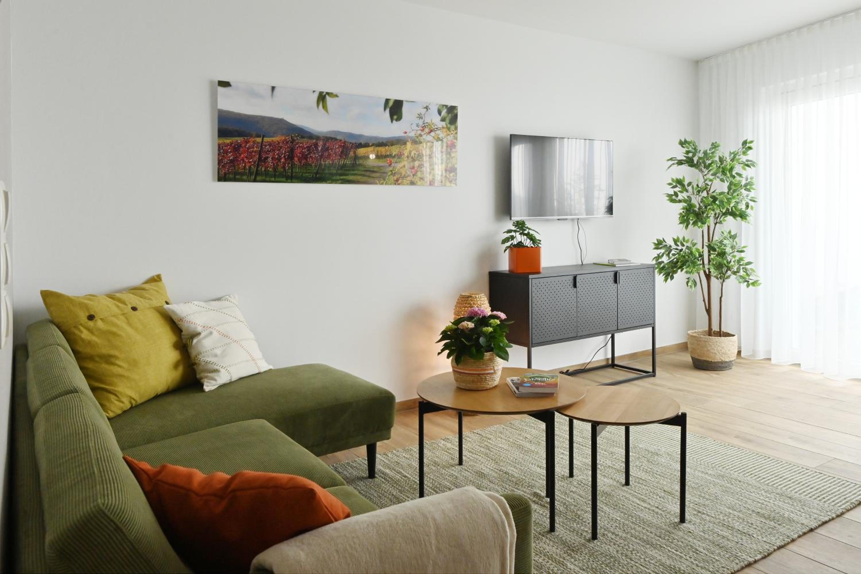 Apartment with Terrace photo 1