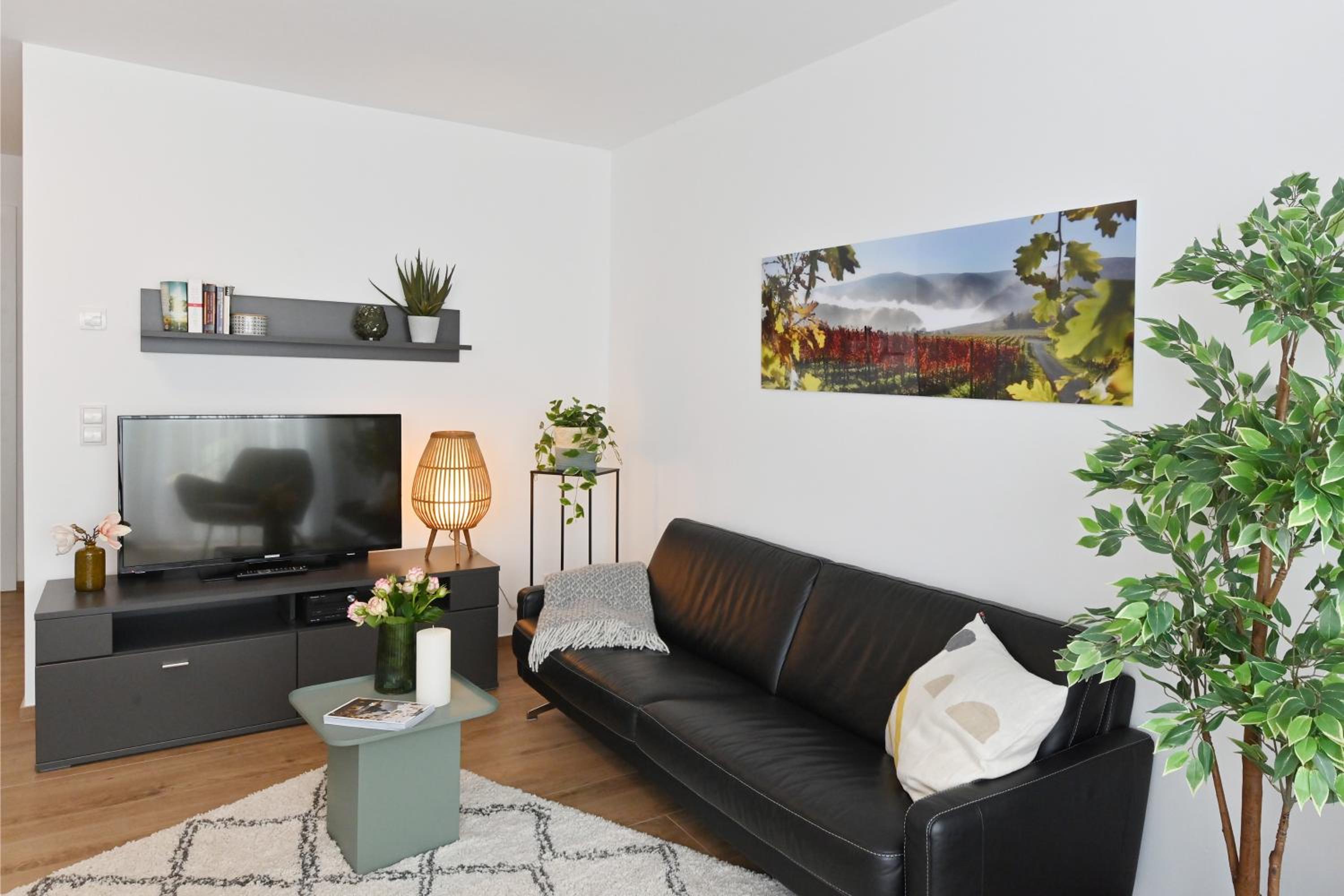 Apartment with Balcony photo 2