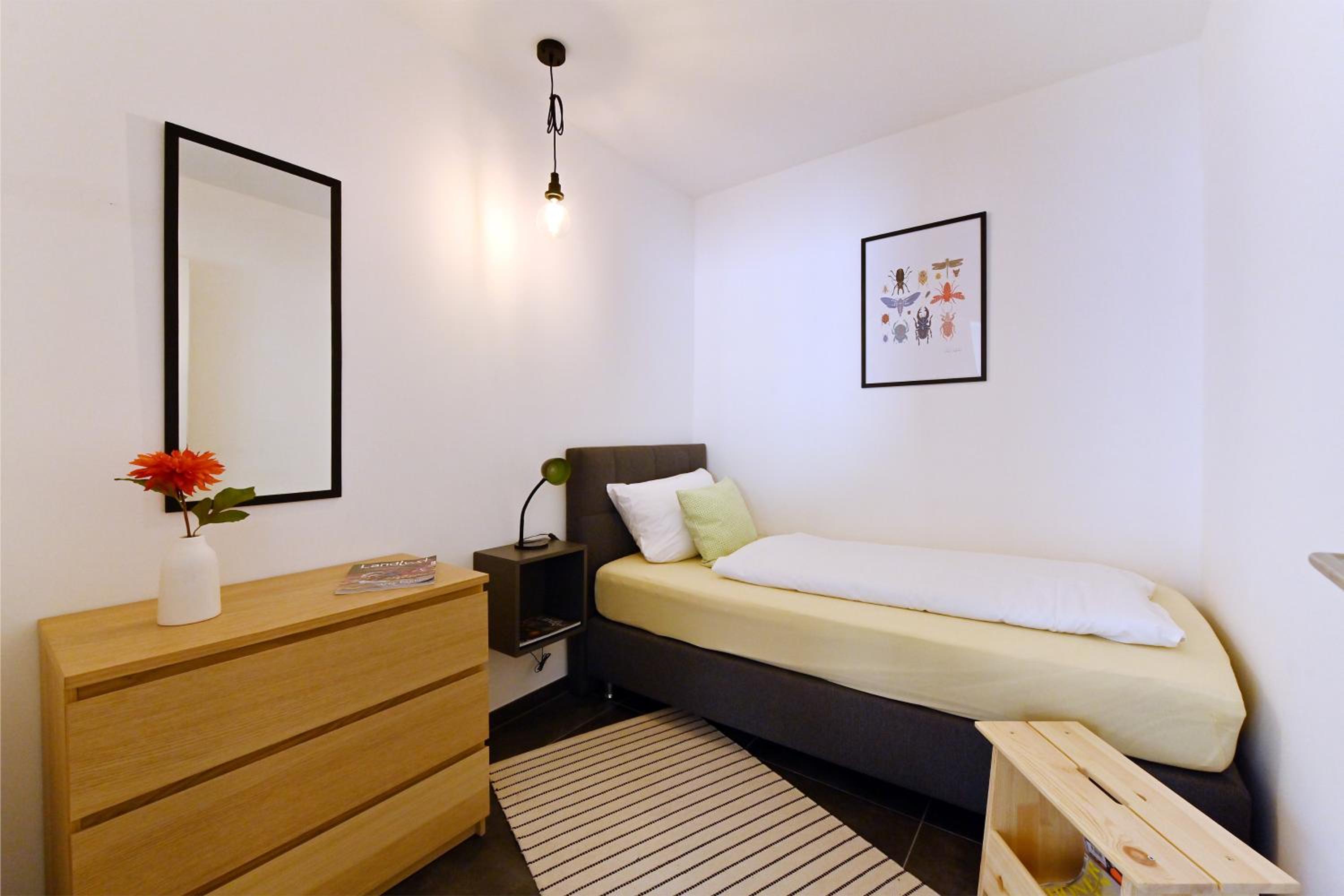 Apartment with Terrace photo 3