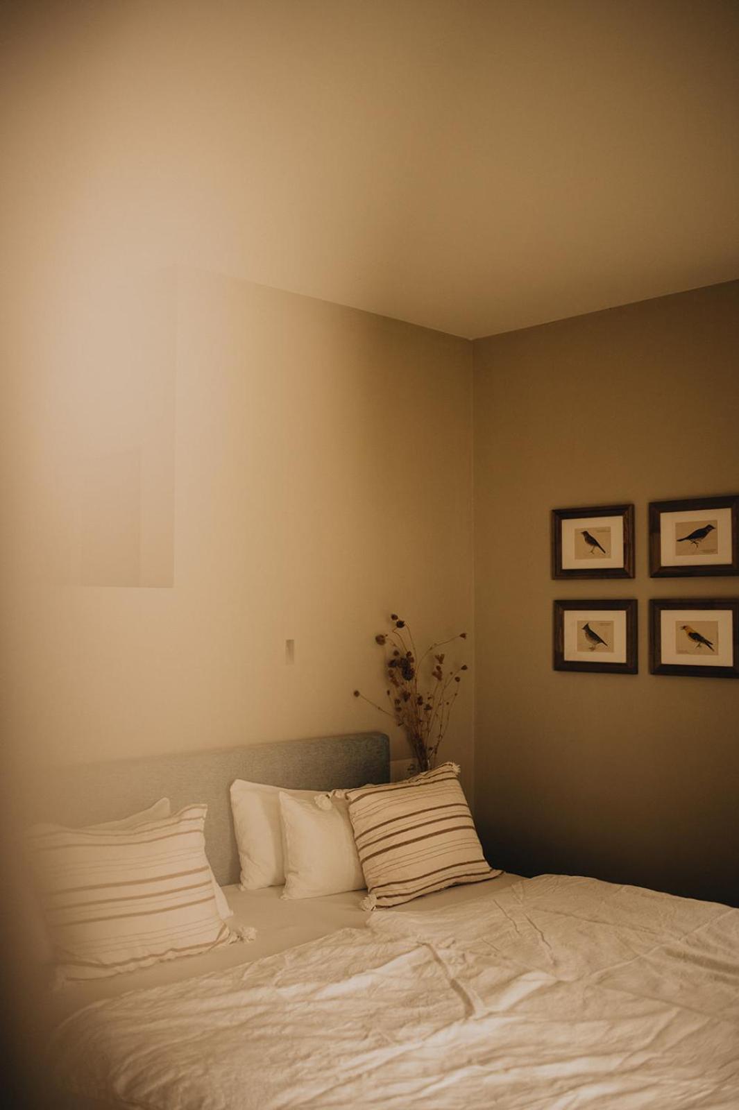 Double Room With Terrace photo 2