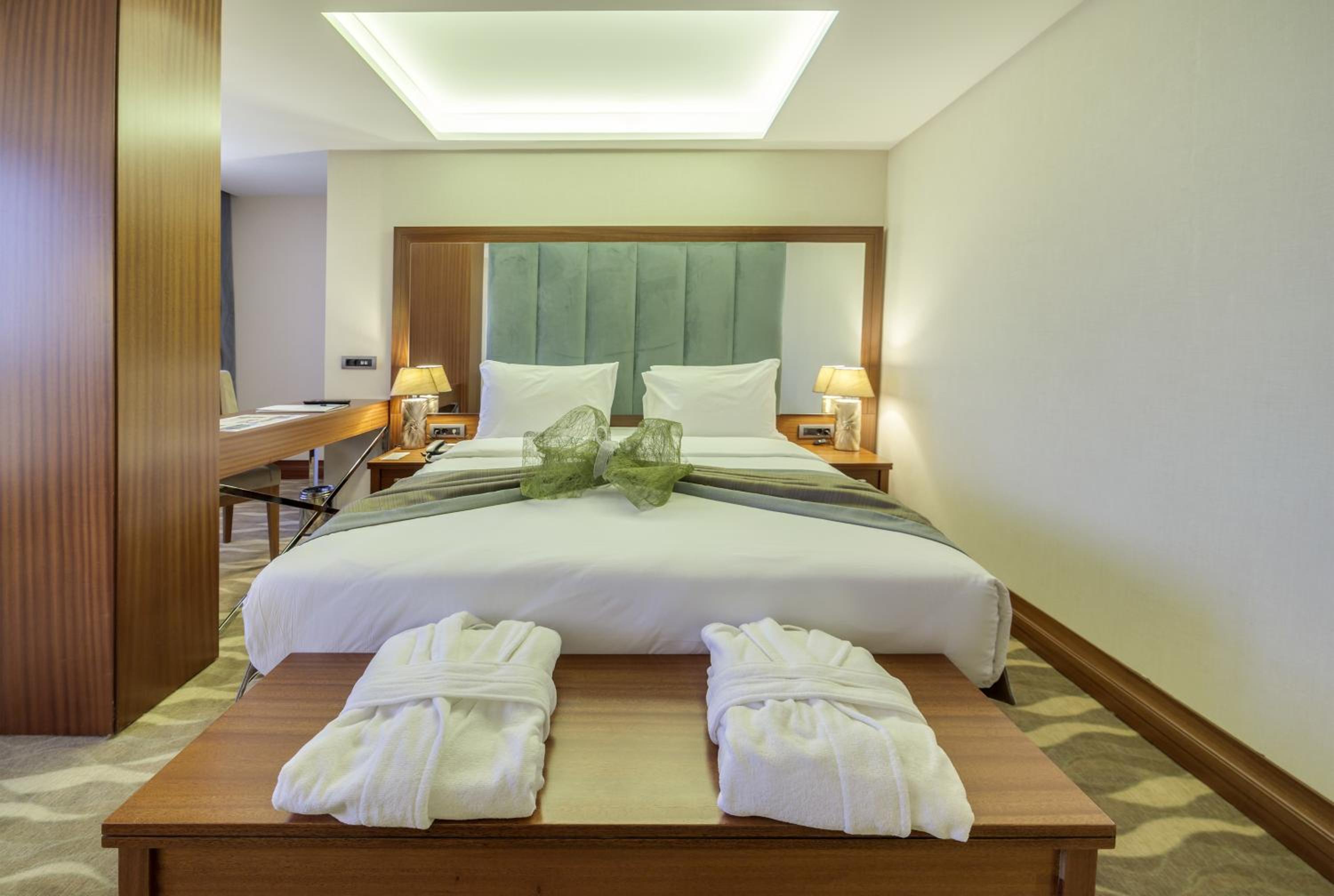 Deluxe Double or Twin Room photo 2