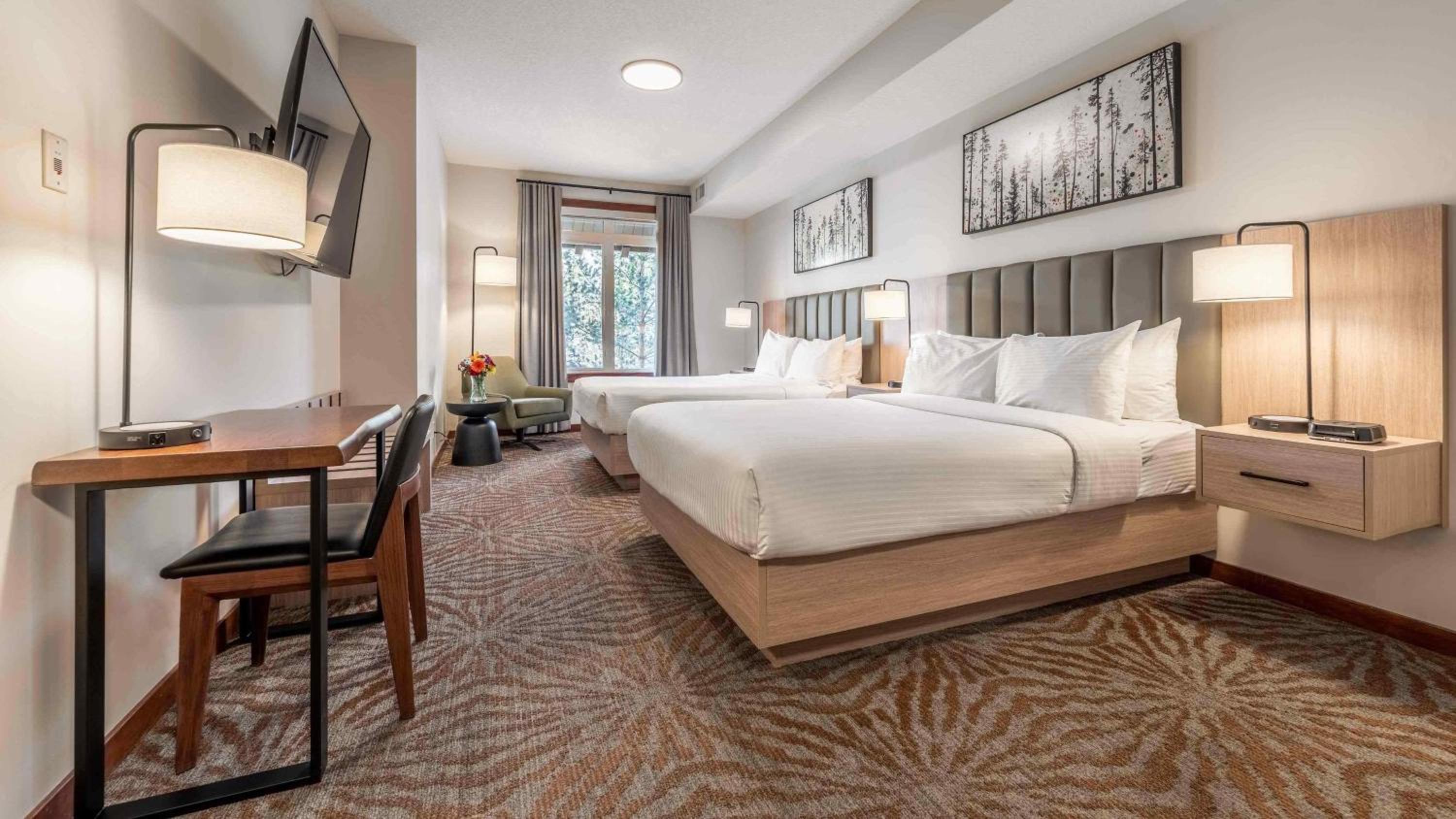 Deluxe Hotel Room