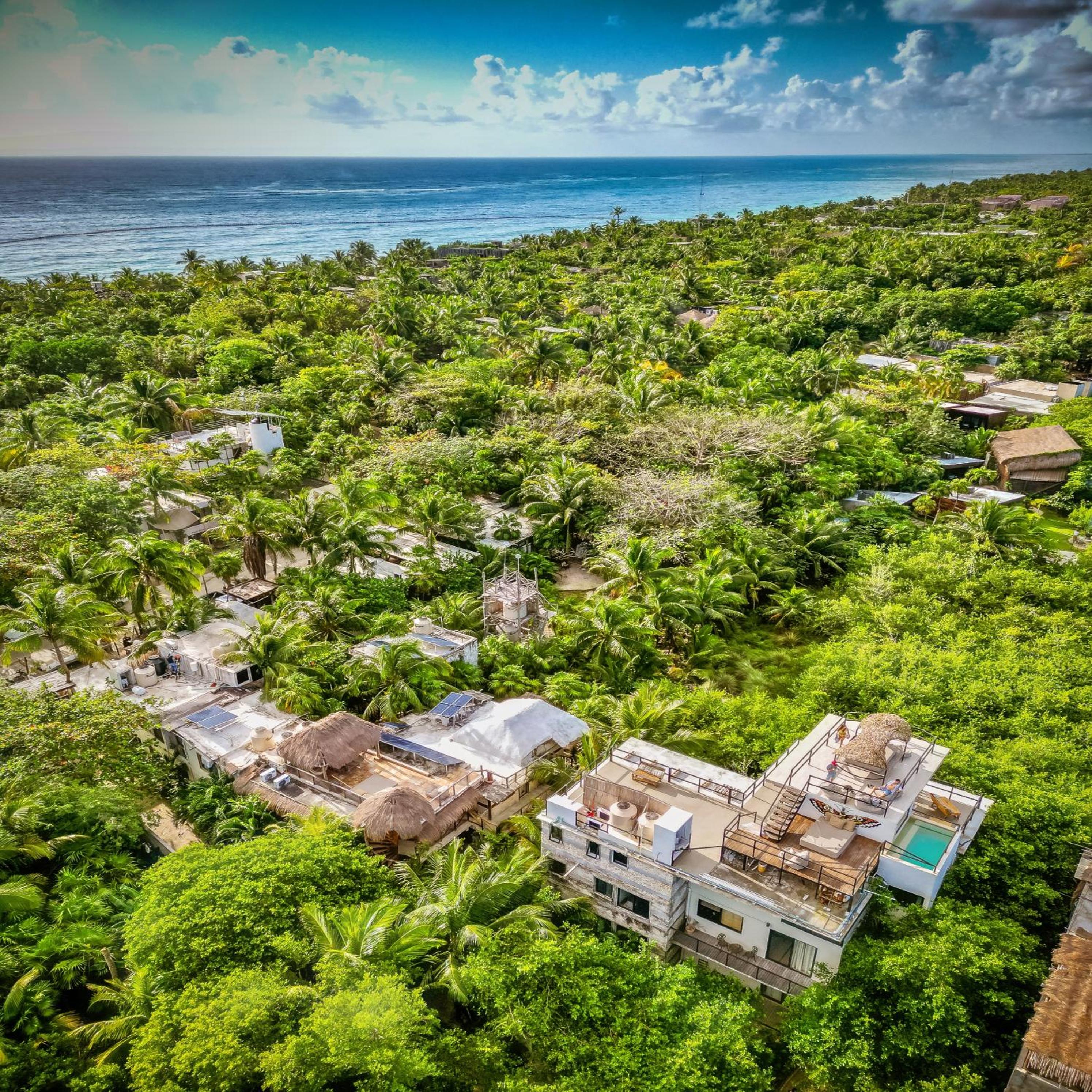 Superior Double or Twin Room with Jungle View - Photo 76