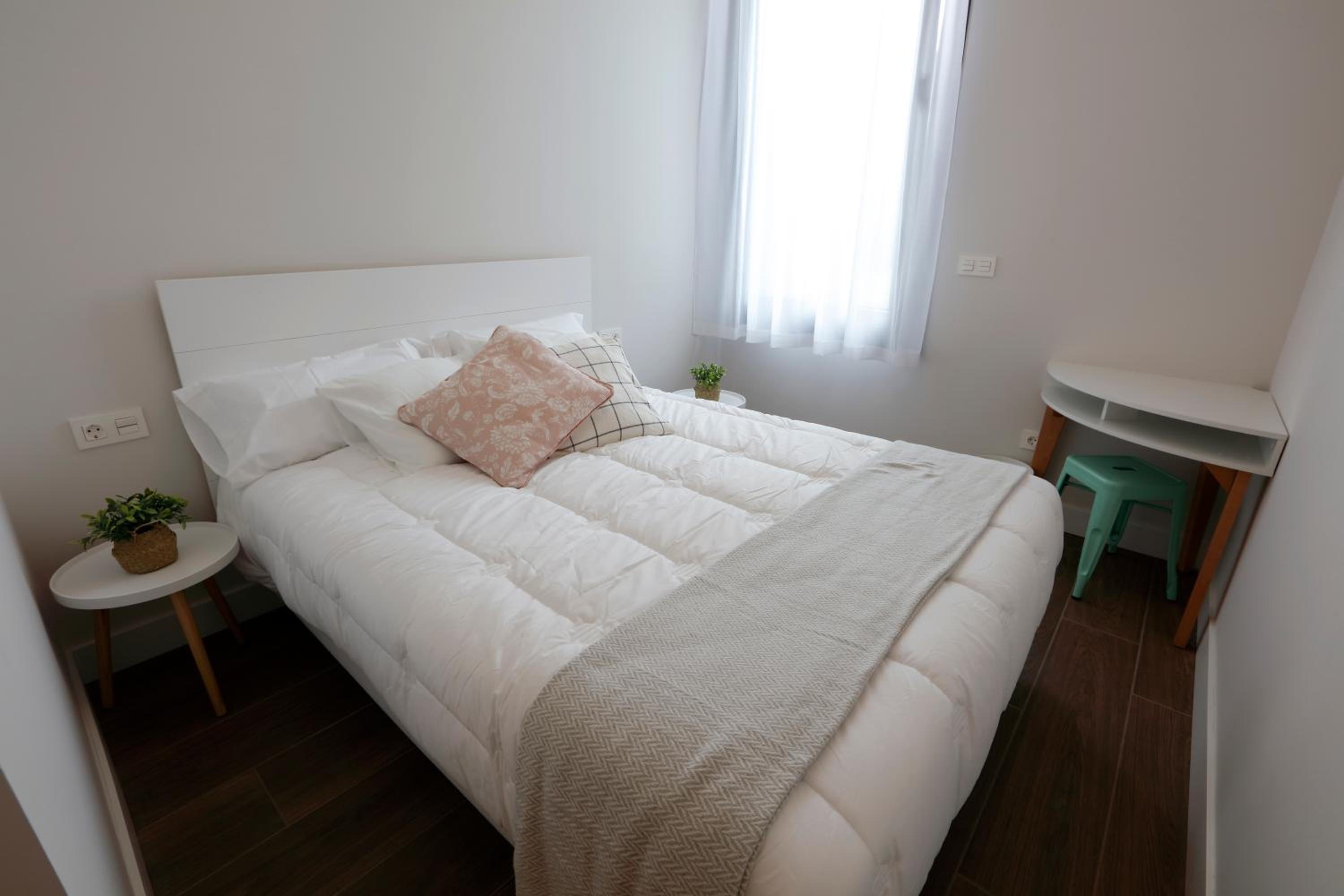 Large Single Room photo 2