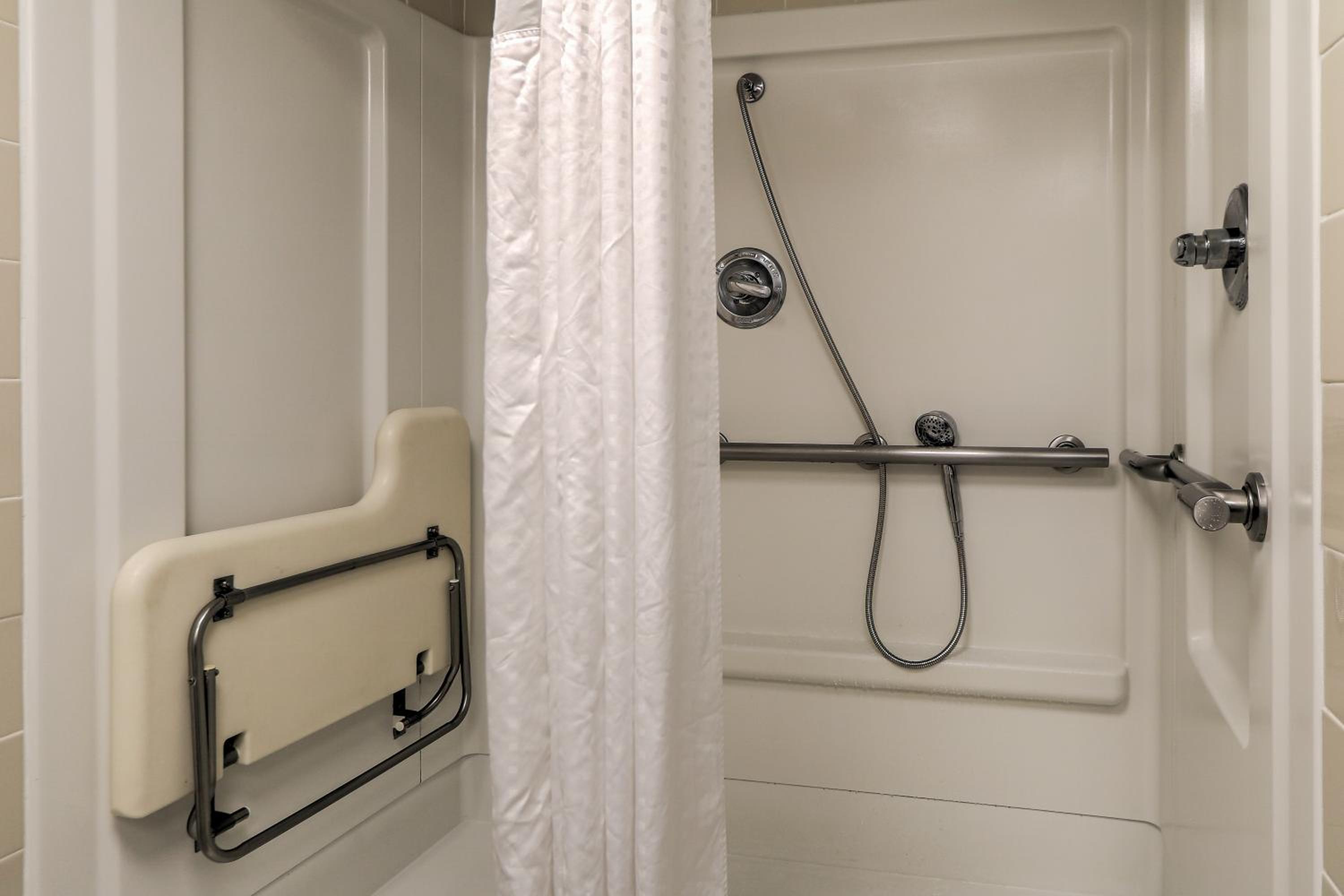 Queen Accessible with Roll-In Shower photo 3