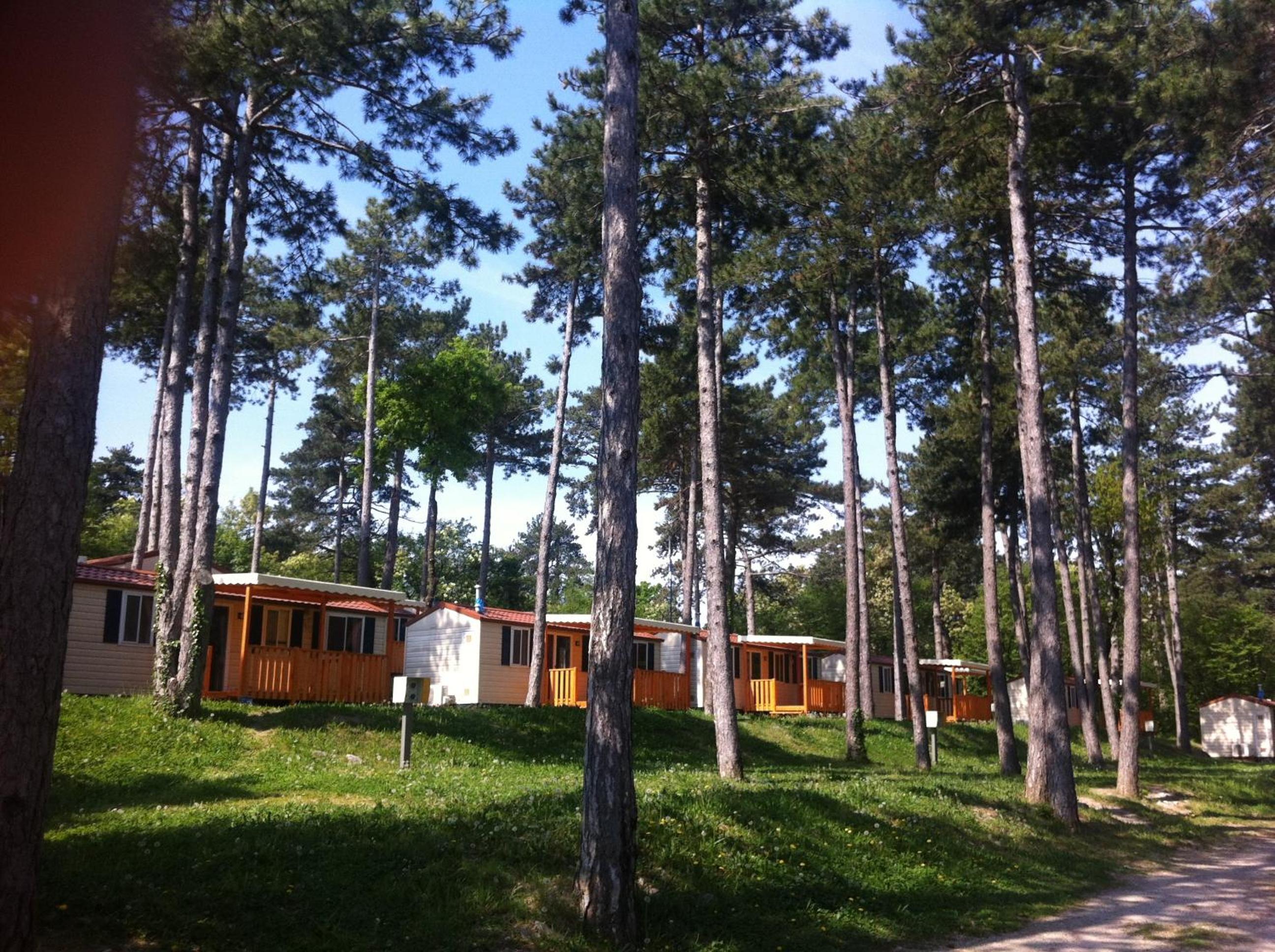 Mobile Home photo 3