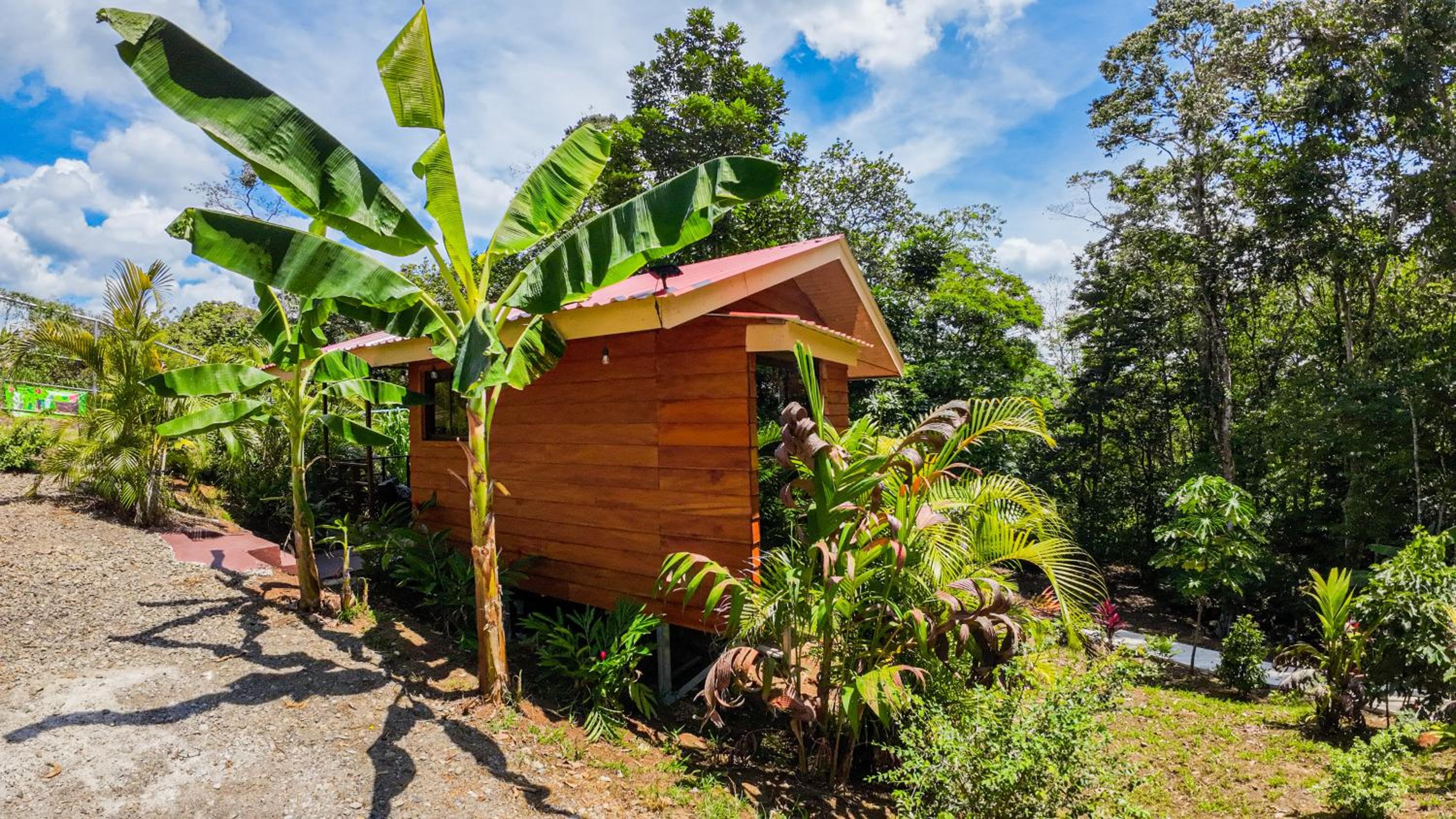 Bungalow Standard-El Perezoso. photo 3