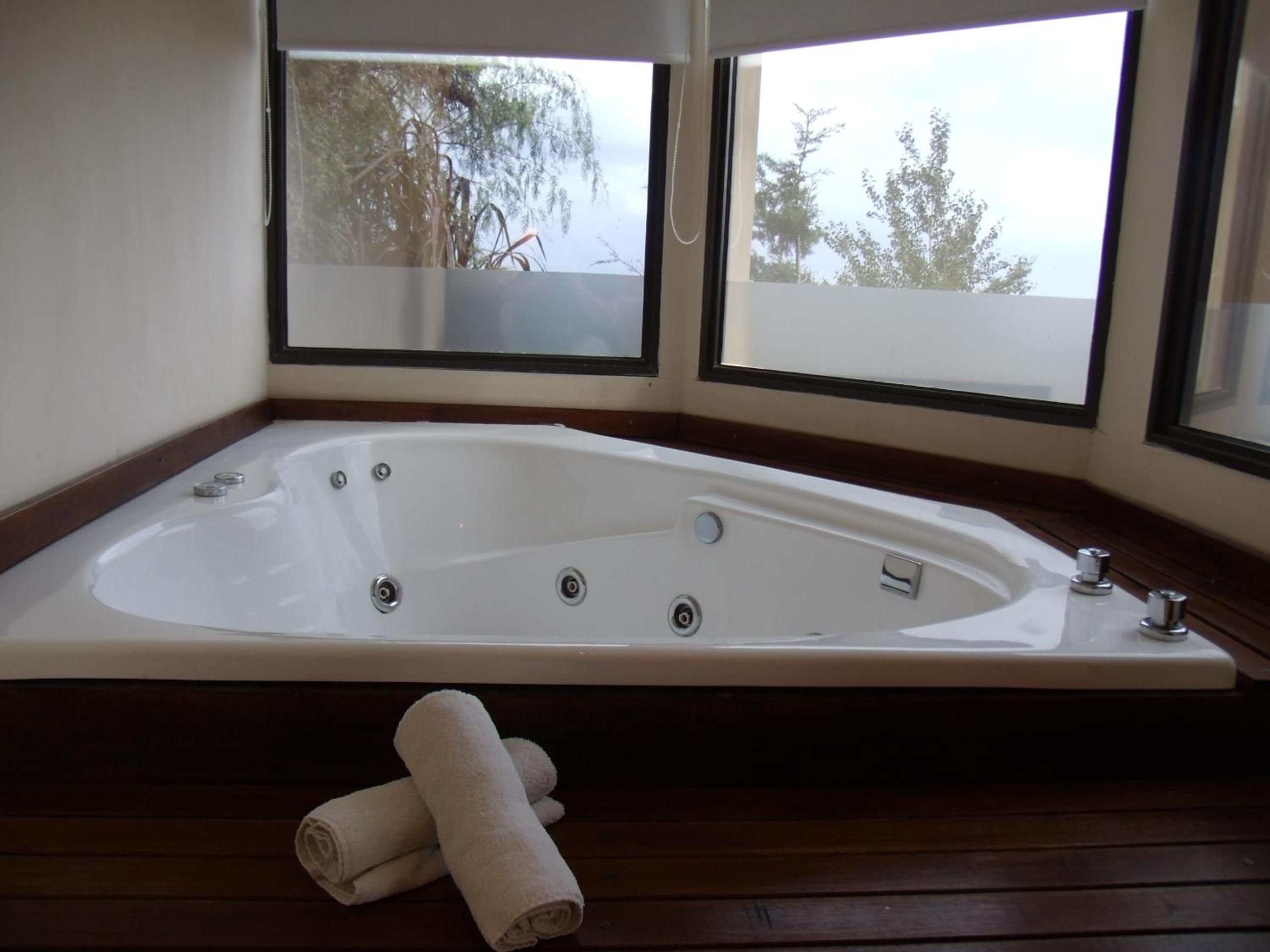Deluxe Room photo 2