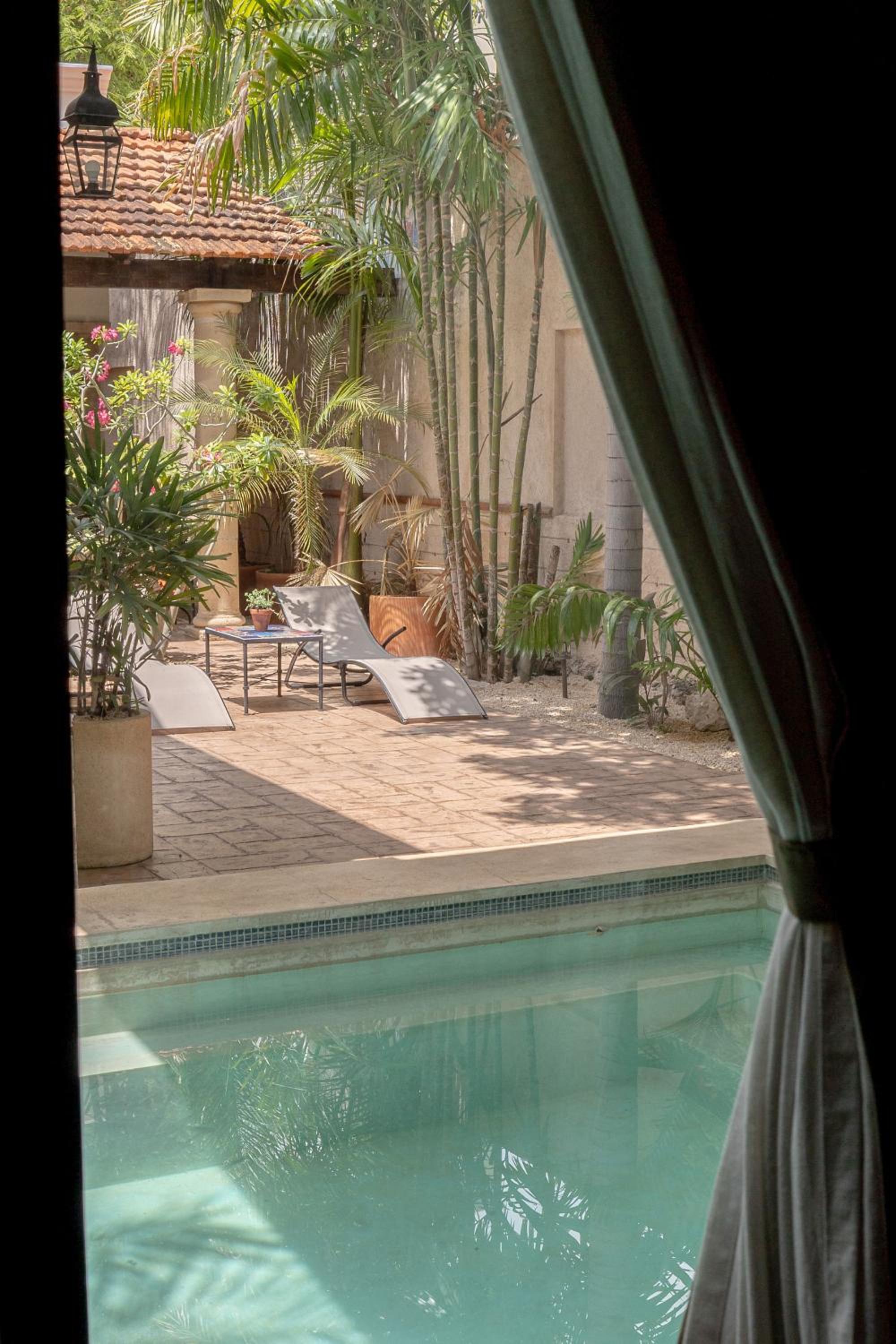 King Room with Pool View photo 3