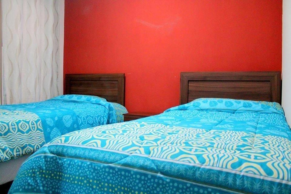 Twin Room photo 2