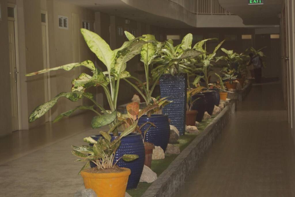 Studio with Balcony - Photo 21