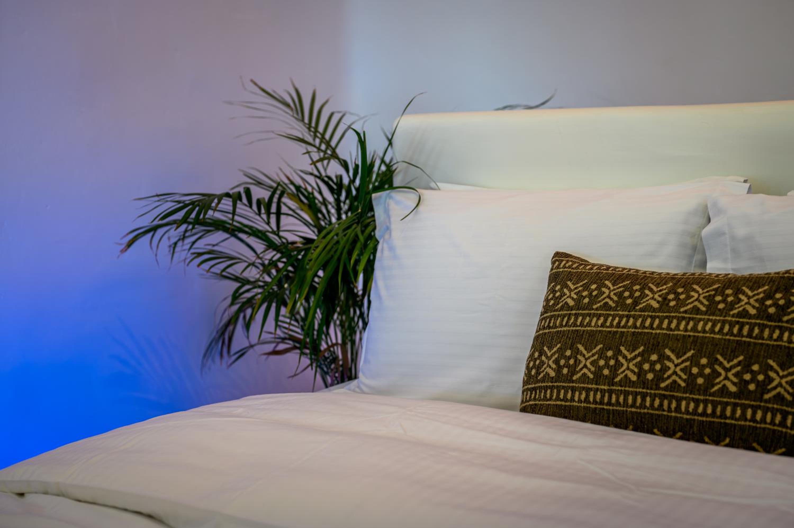 Deluxe Suite with Sea View - Photo 15