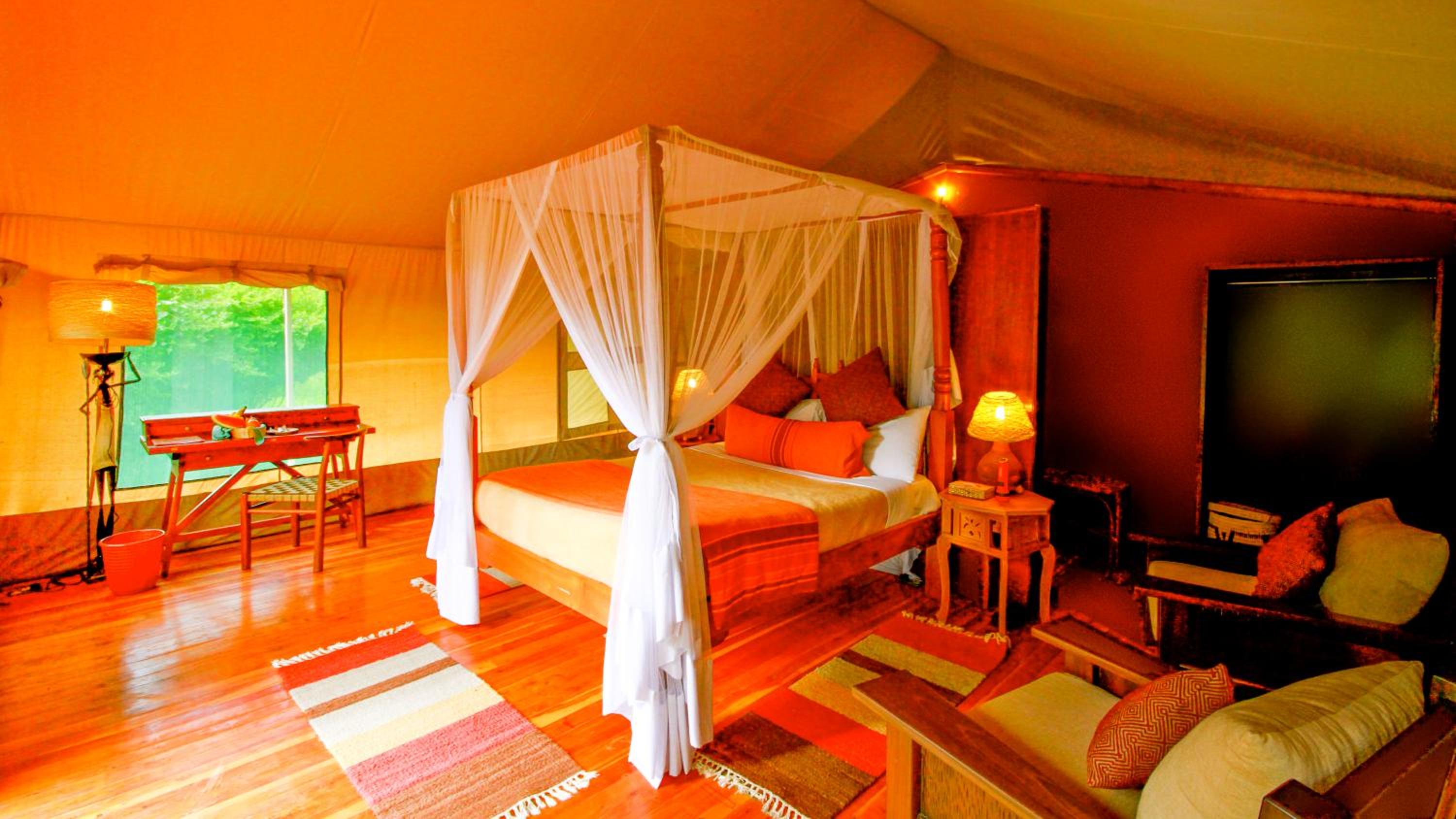 Deluxe Room photo 3