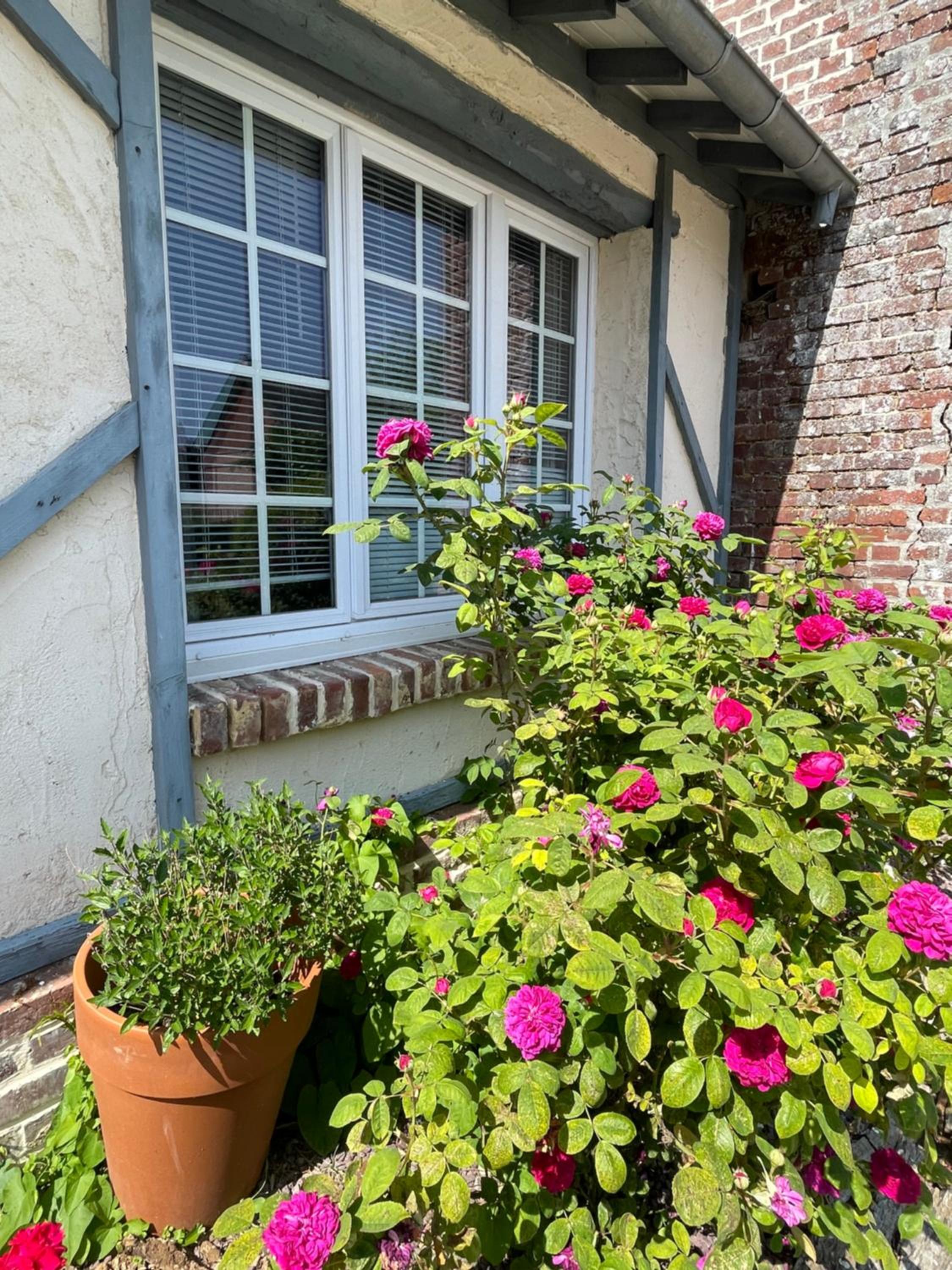 Double Room with Park View - Photo 1