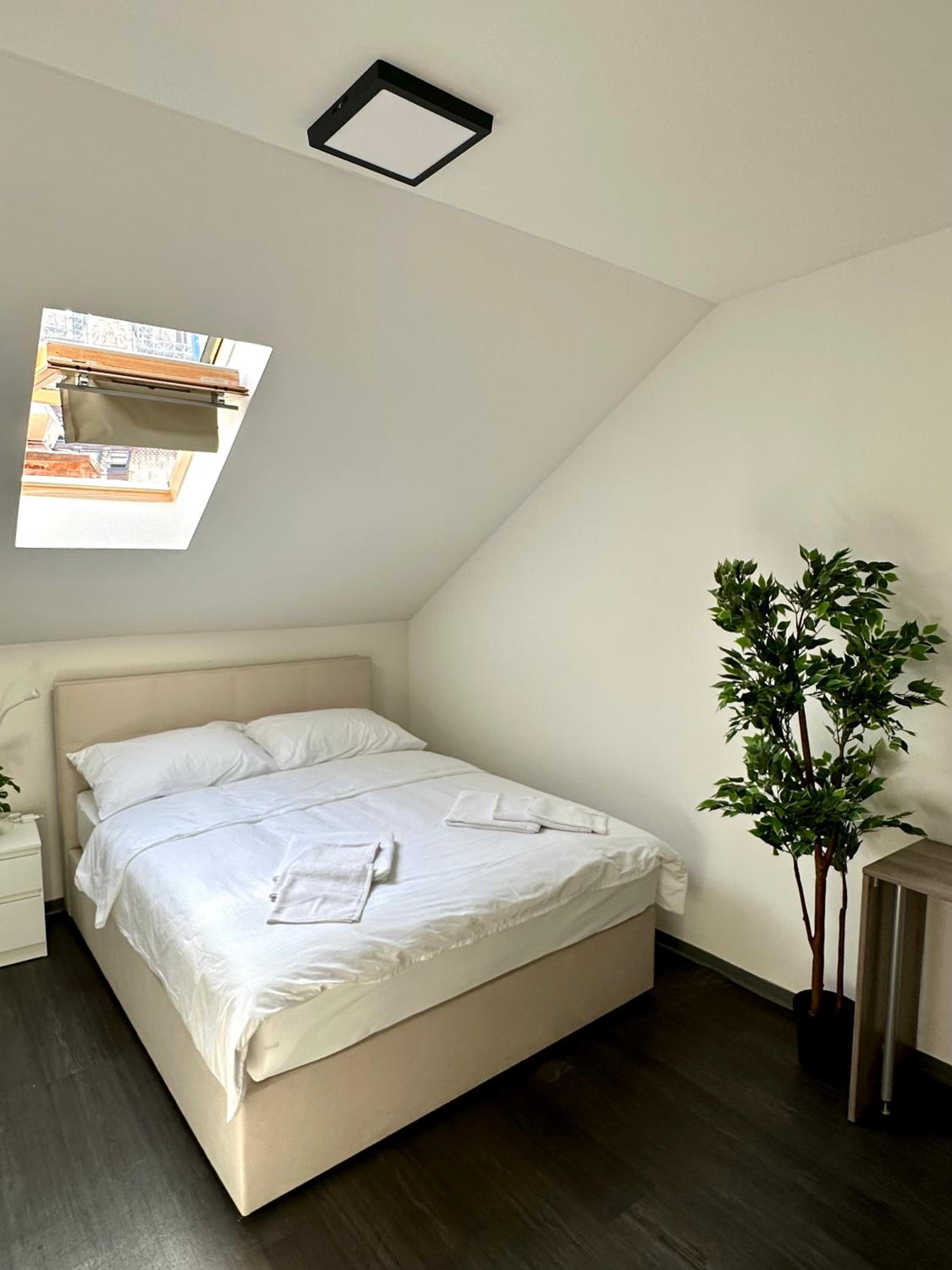 Double Room with Shared Bathroom