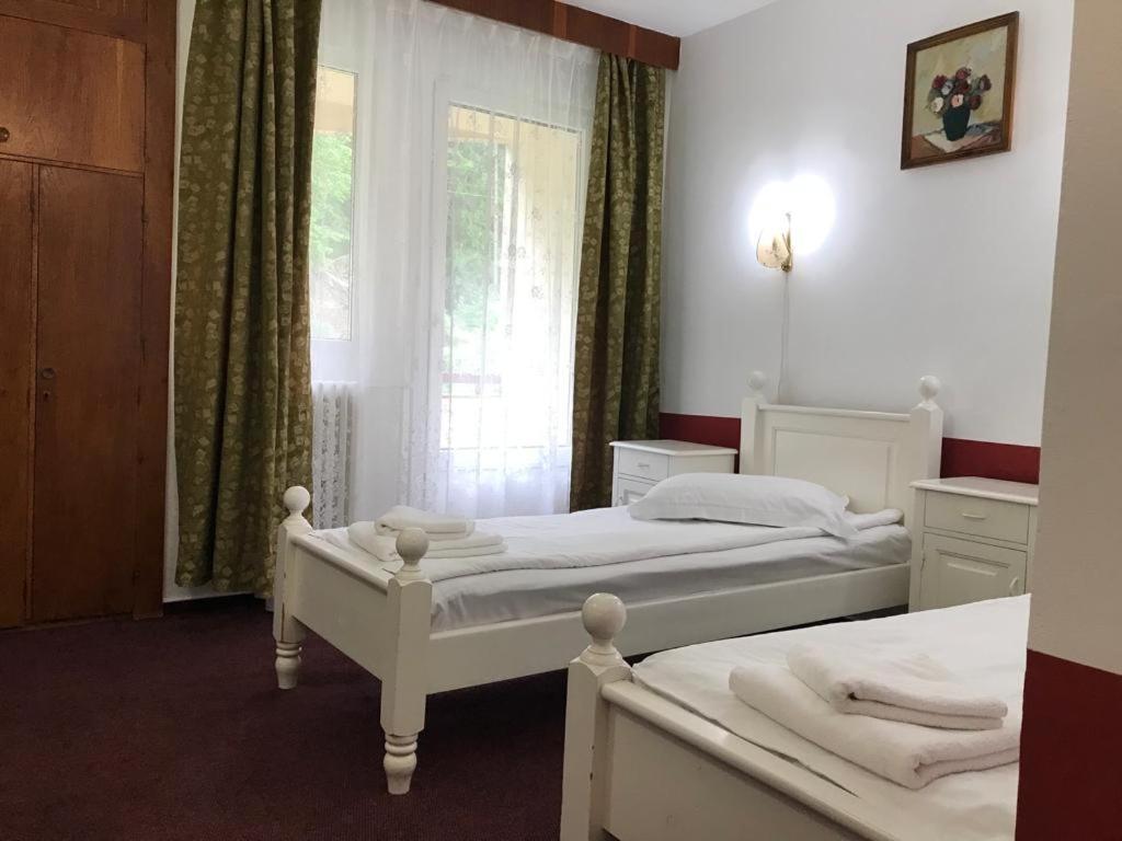 Twin Room photo 2