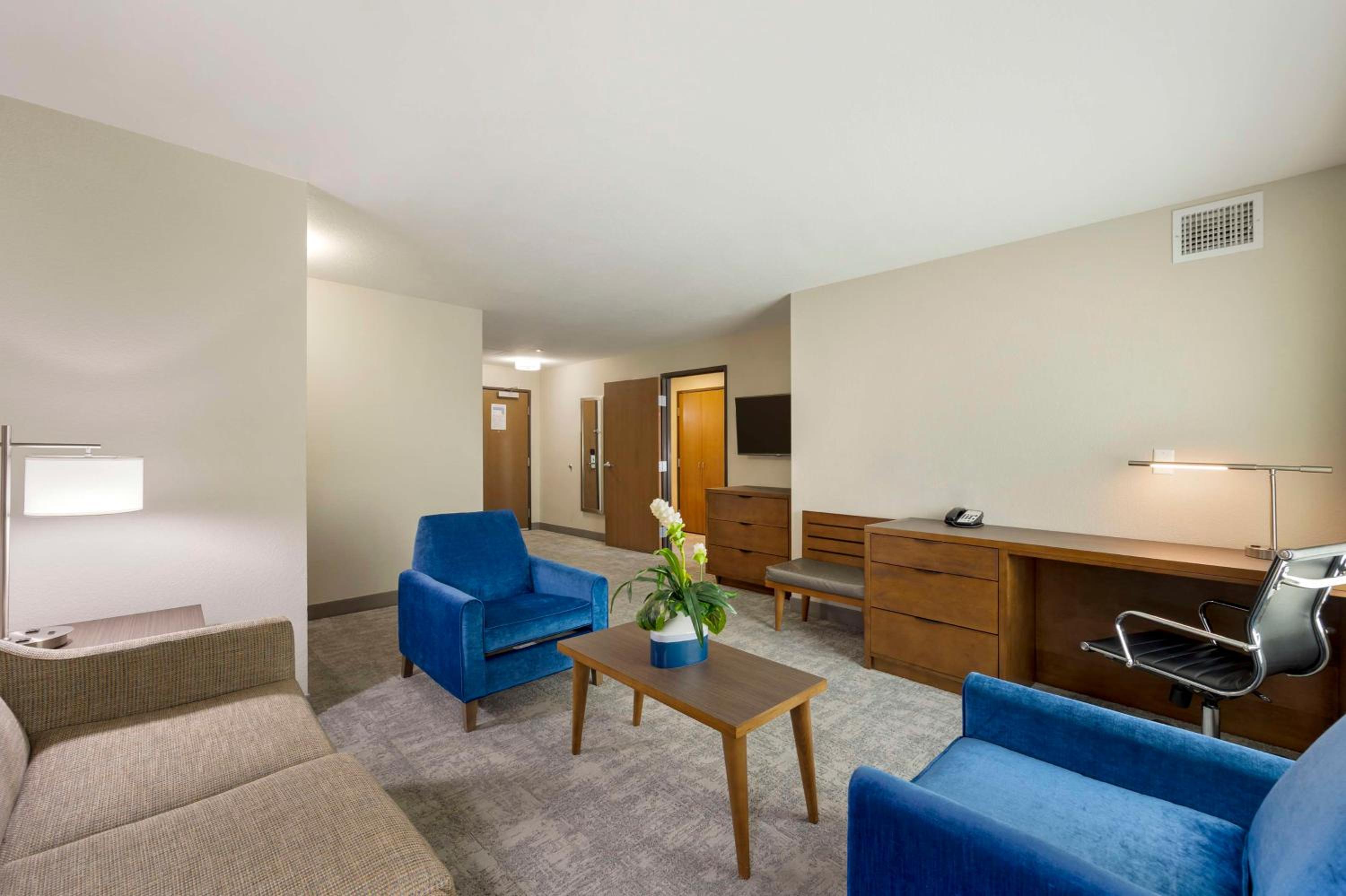 King Suite with Sofa Bed - Non-Smoking - Photo 5