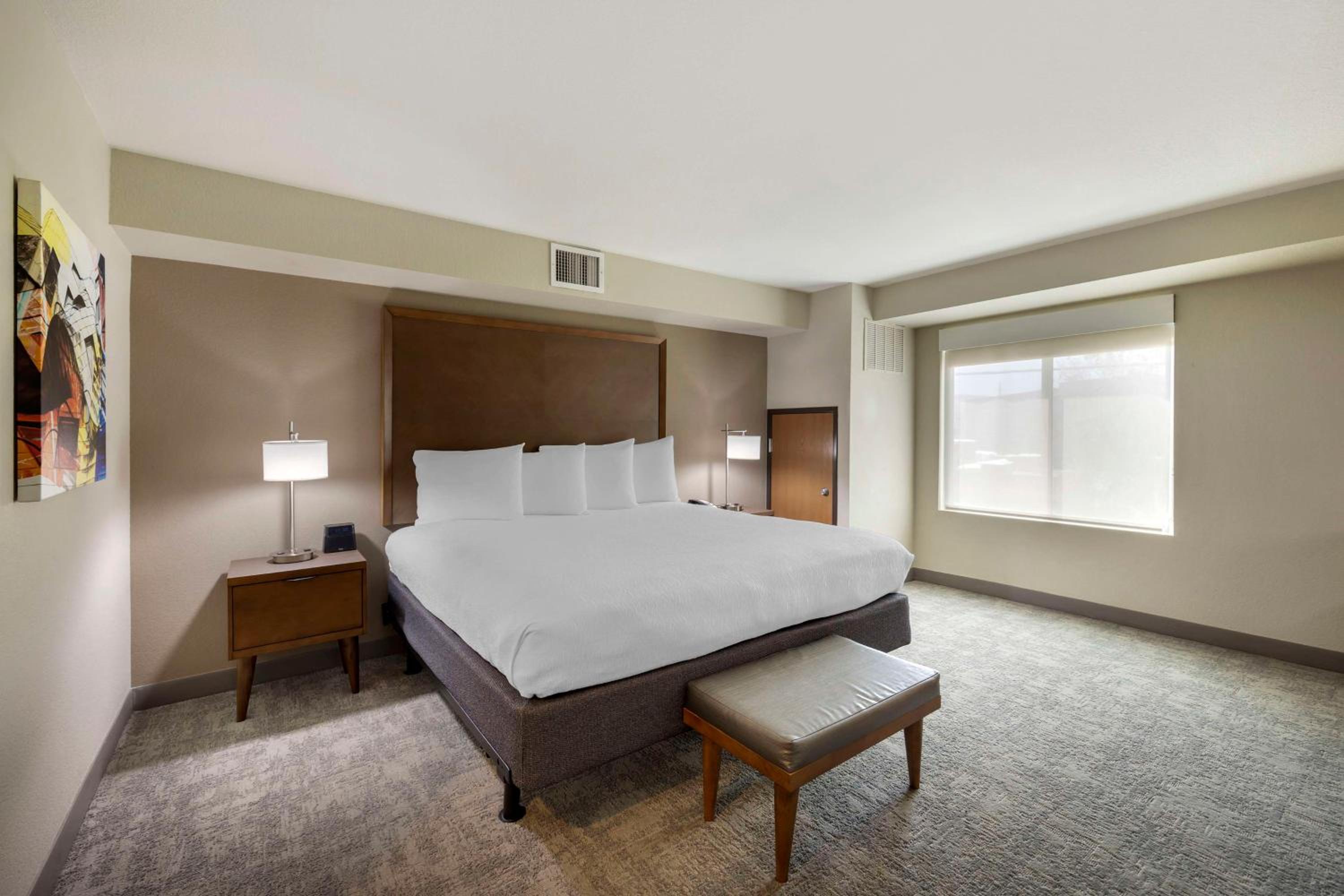 King Suite with Sofa Bed - Non-Smoking - Photo 7