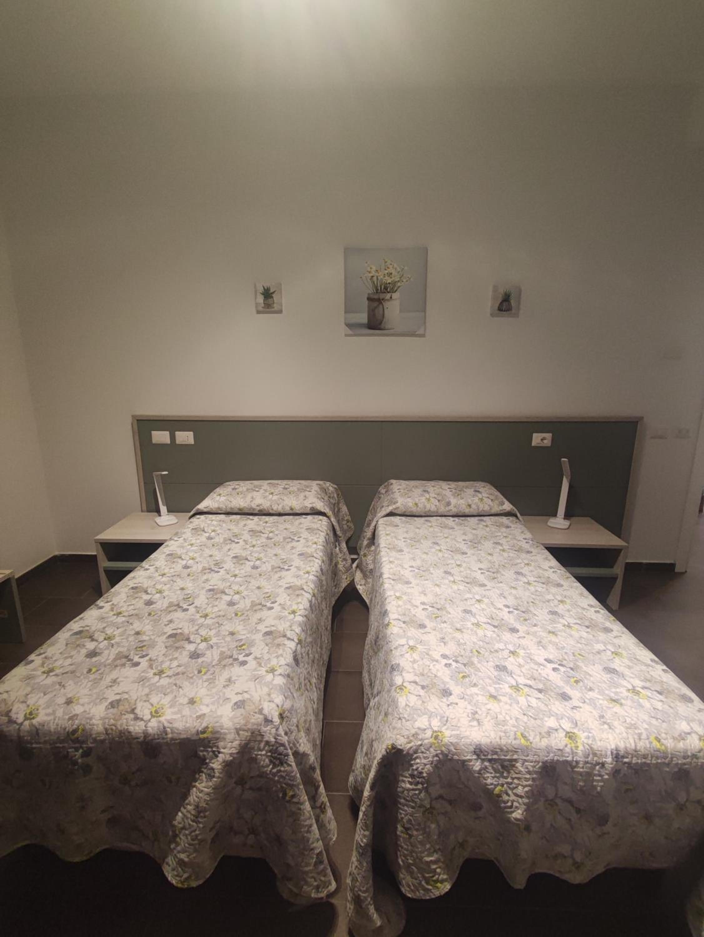 Double or Twin Room photo 1