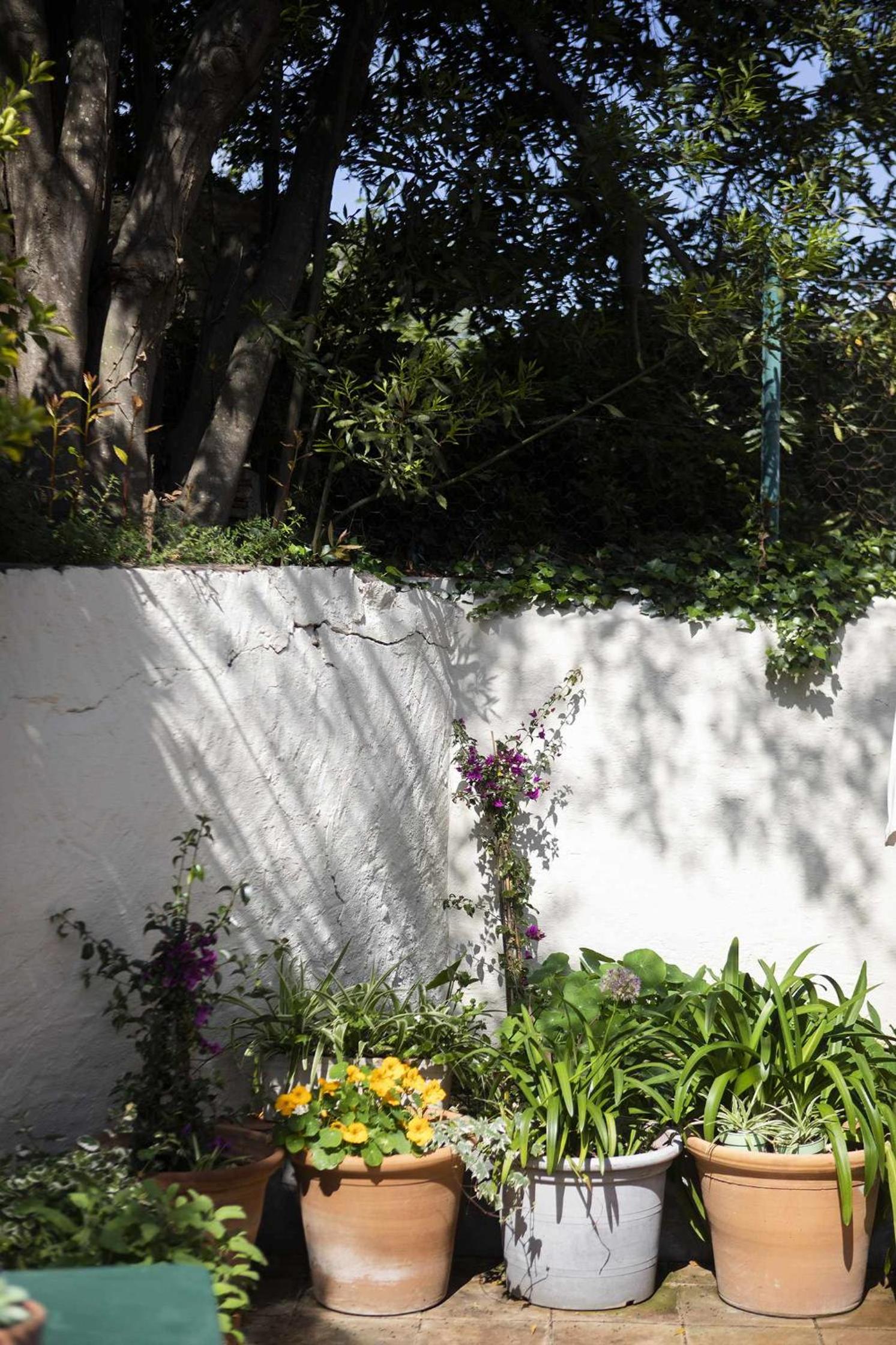 Double Room with Garden View photo 3