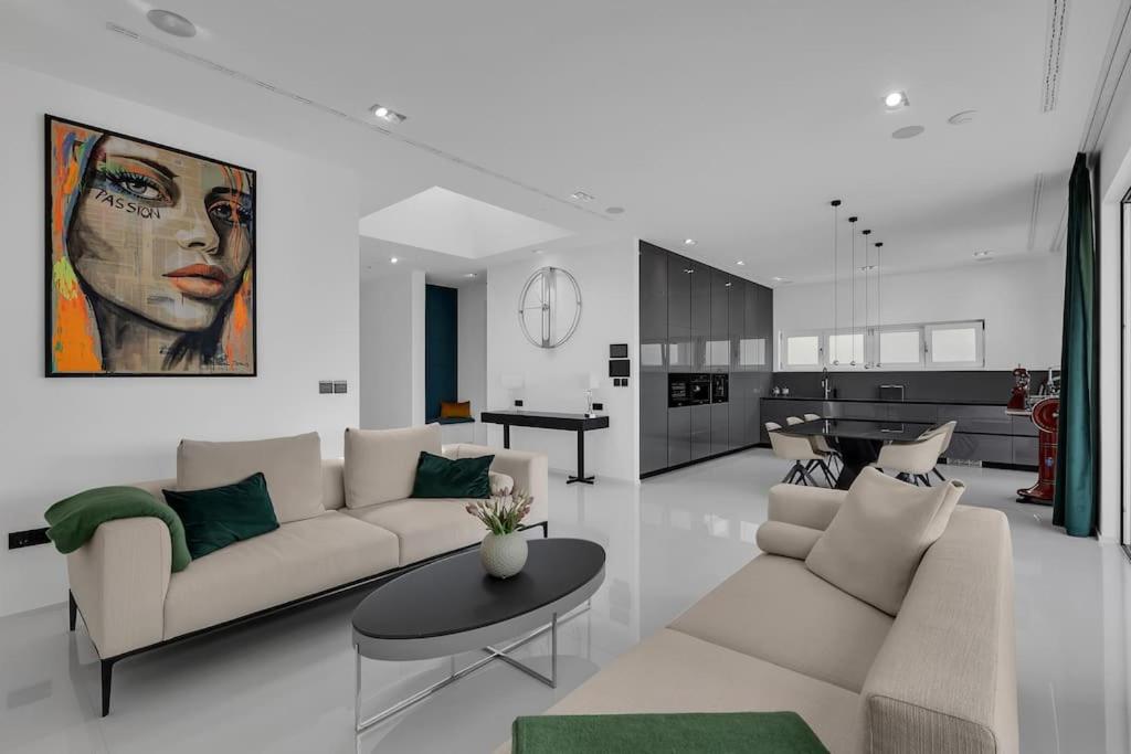Penthouse Apartment photo 1