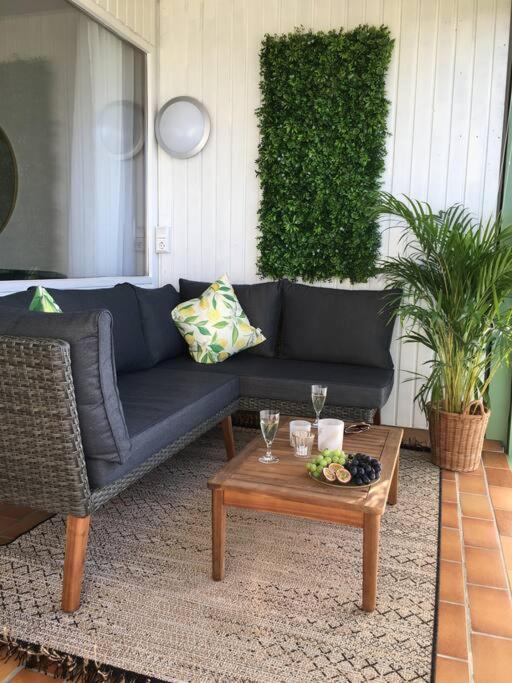 Apartment with Terrace photo 3