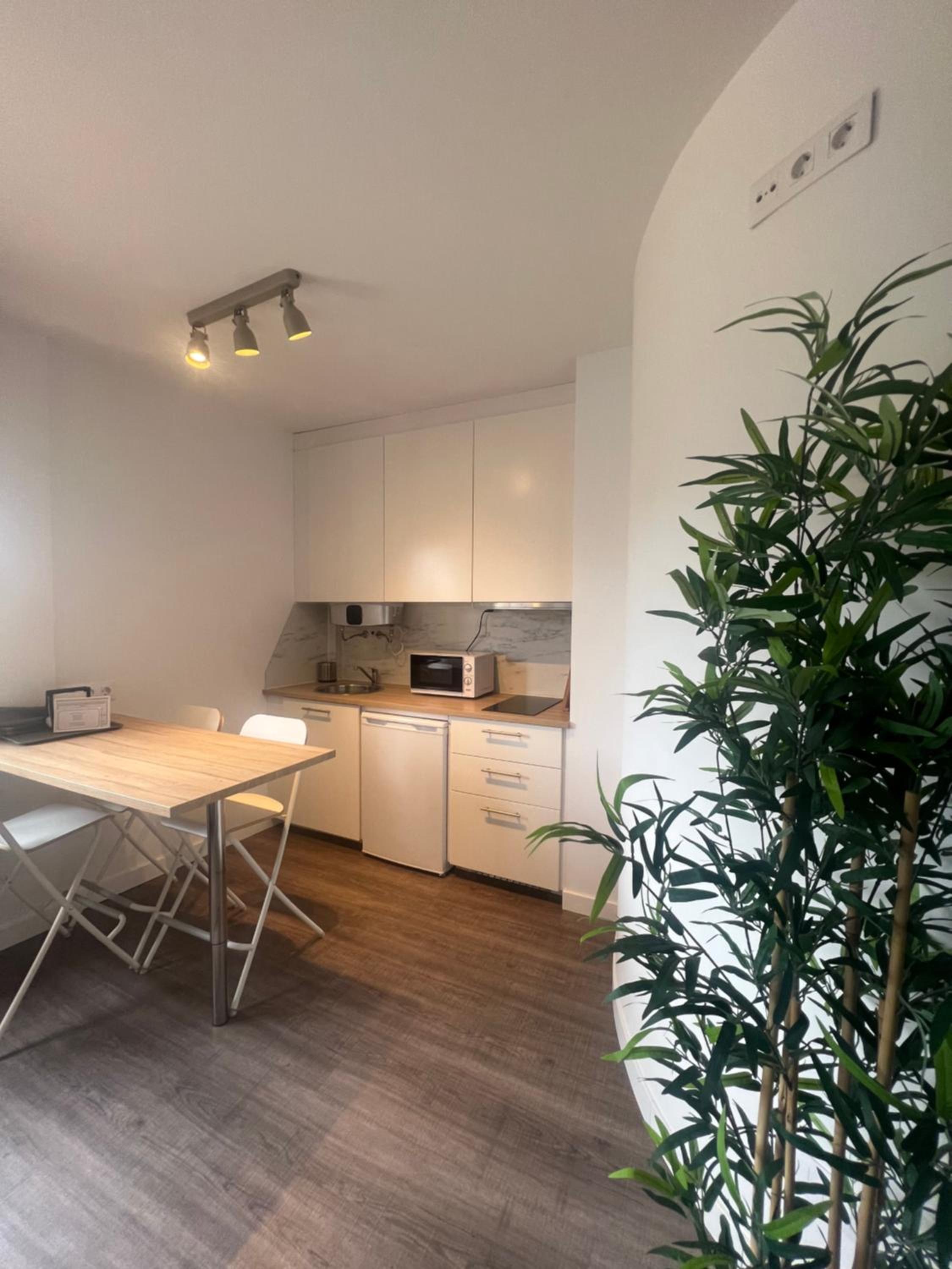 Apartment with Terrace photo 2