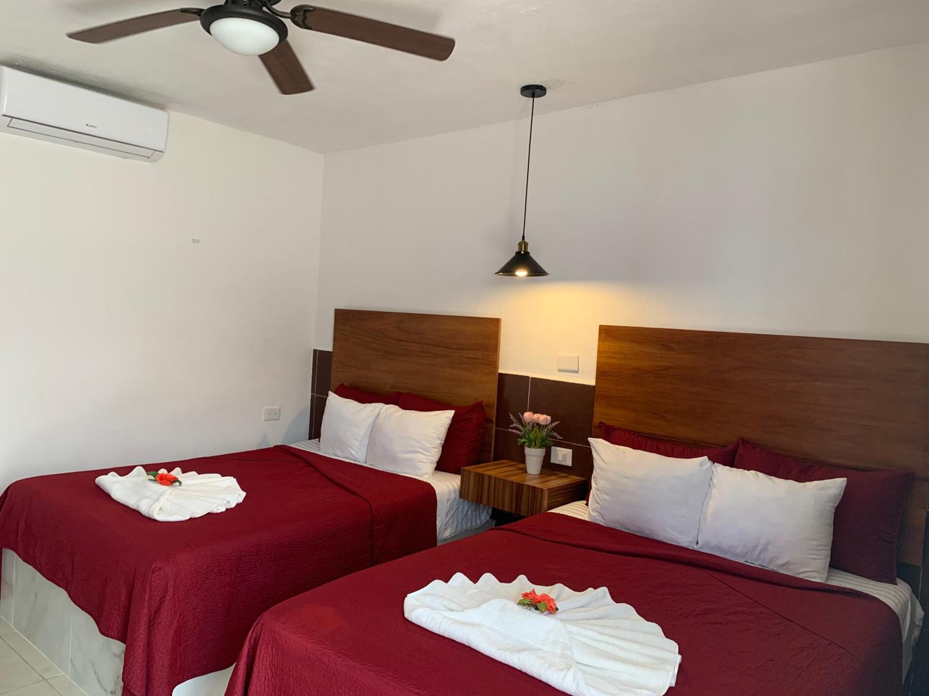 Twin Room photo 3
