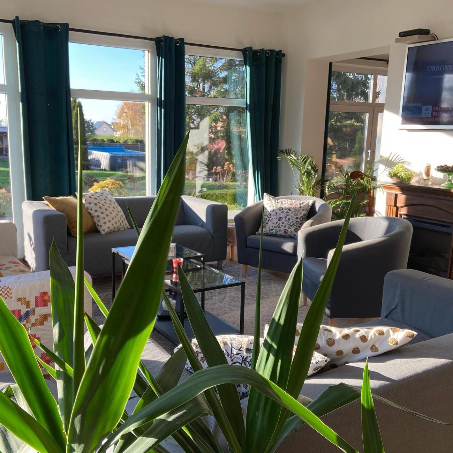 Standard Suite photo 1