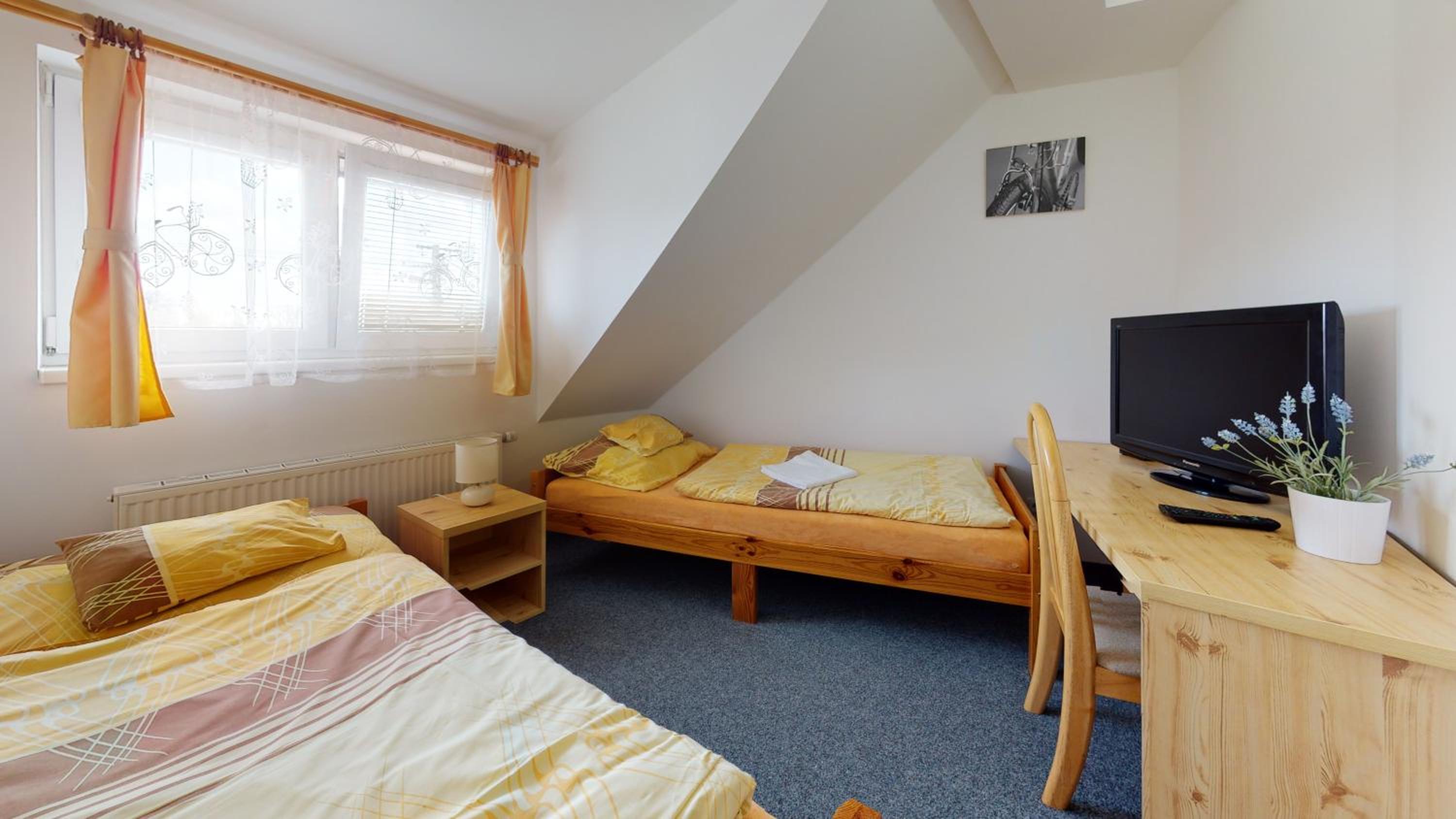 Twin Room photo 2